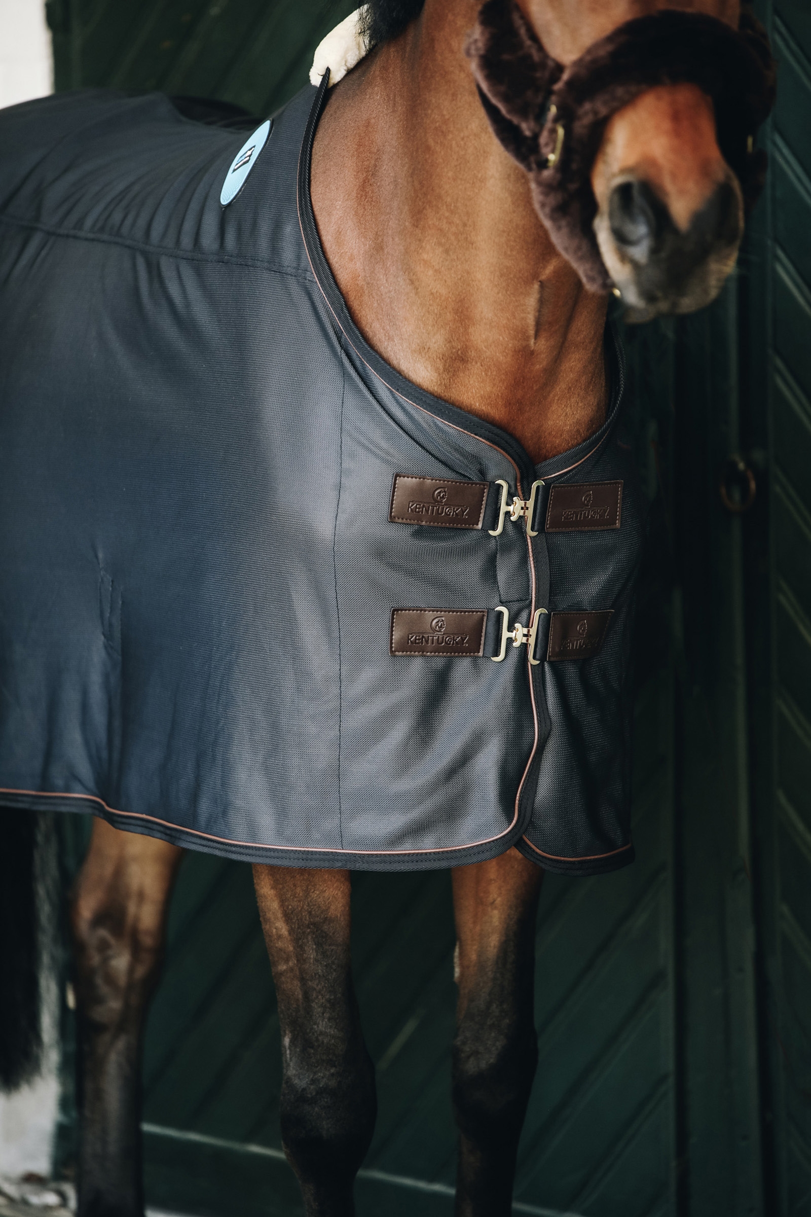 Tappeto magnetico Kentucky Horsewear Tiny Recuptex