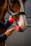 Horseware Bacchetta terapeutica a LED con luce rossa