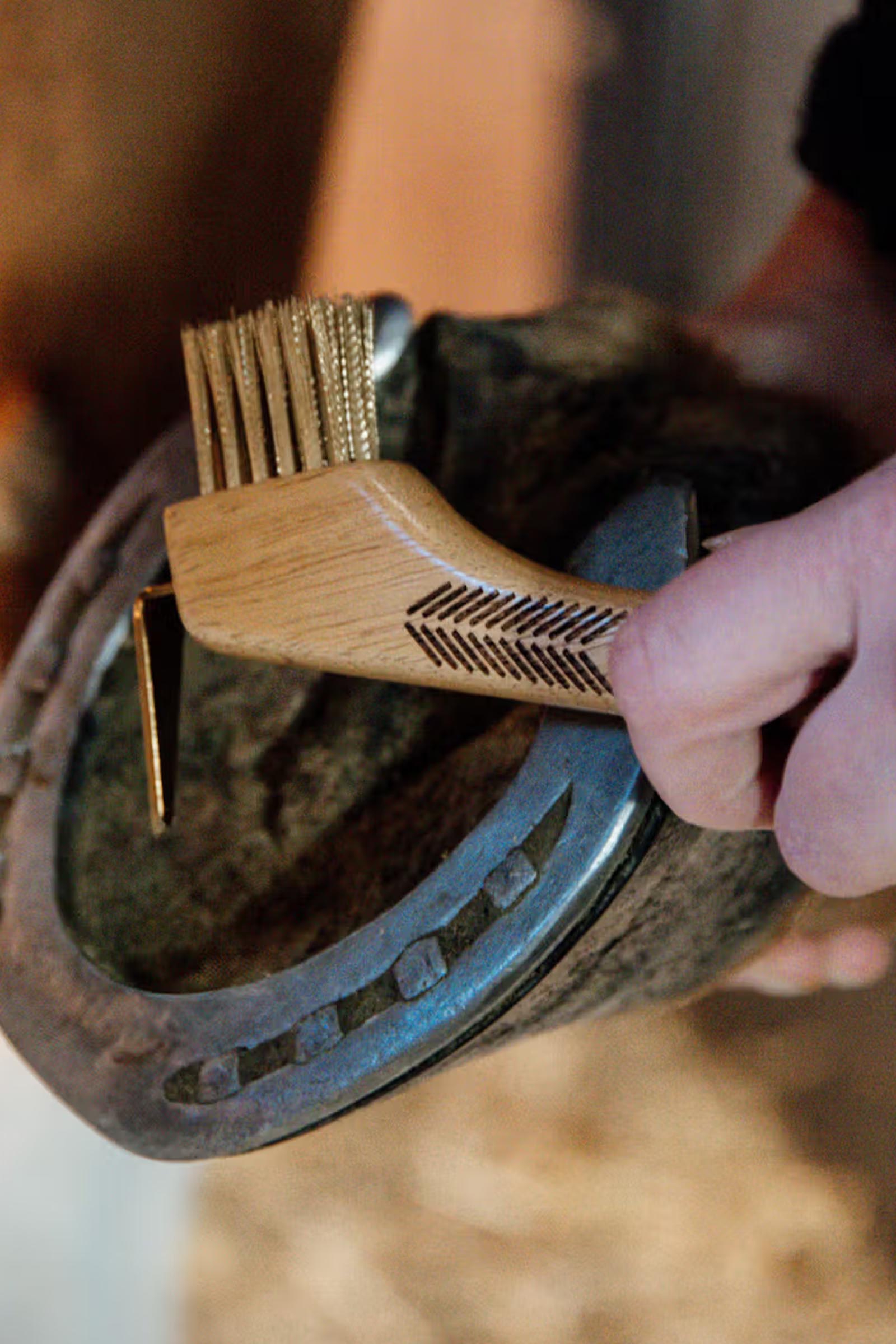 Grooming Deluxe nettapiedi con setole metalliche  