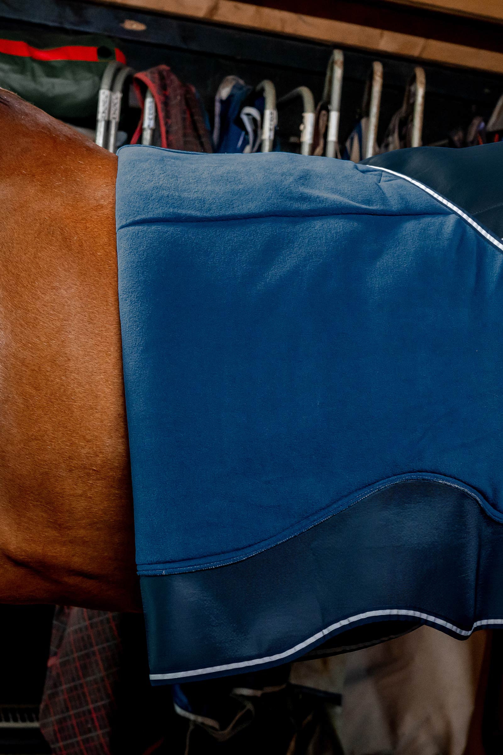 Horseware Dry Liner sottocoperta con funzione di asciugatura, 50 g