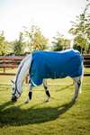Horseware Ionic Therapy Coperta da turnout leggera, 100g