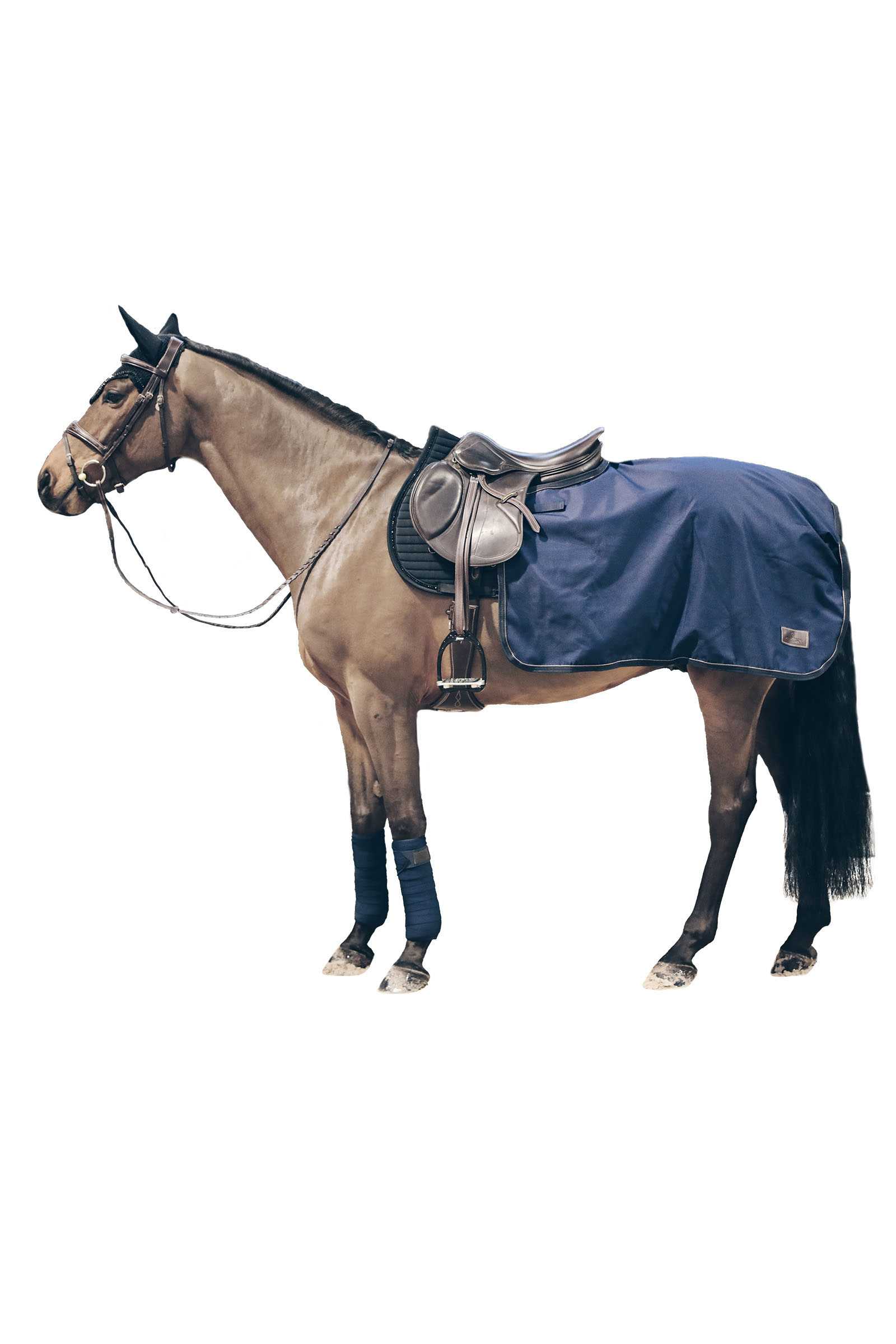 Kentucky Horsewear - Foglio per esercizi per tutte le stagioni, 160 g