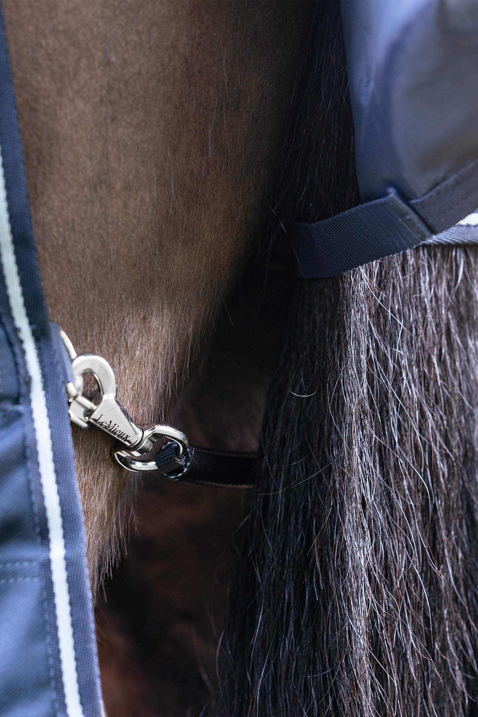 LeMieux Arika Storm-Tek coperta da esterno con collo rimovibile, 200 g