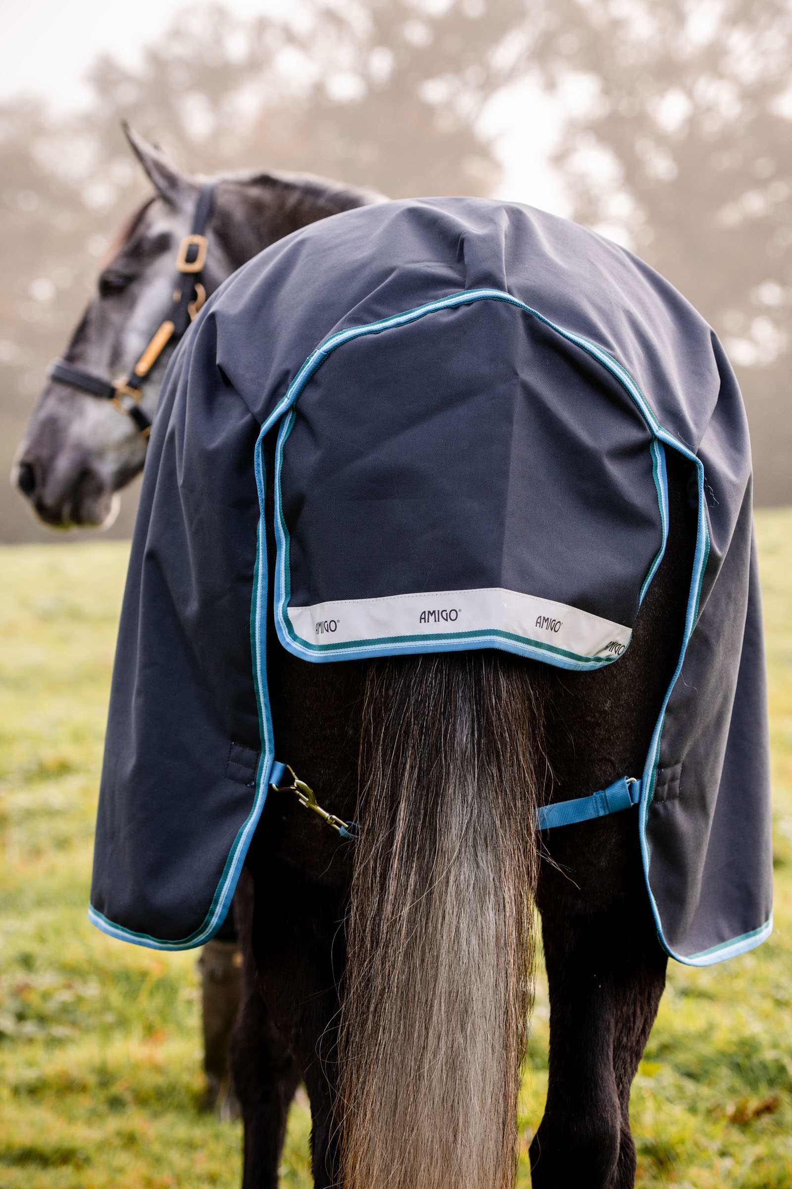 Horseware Amigo Bravo 12 coperta da turnout, 100g