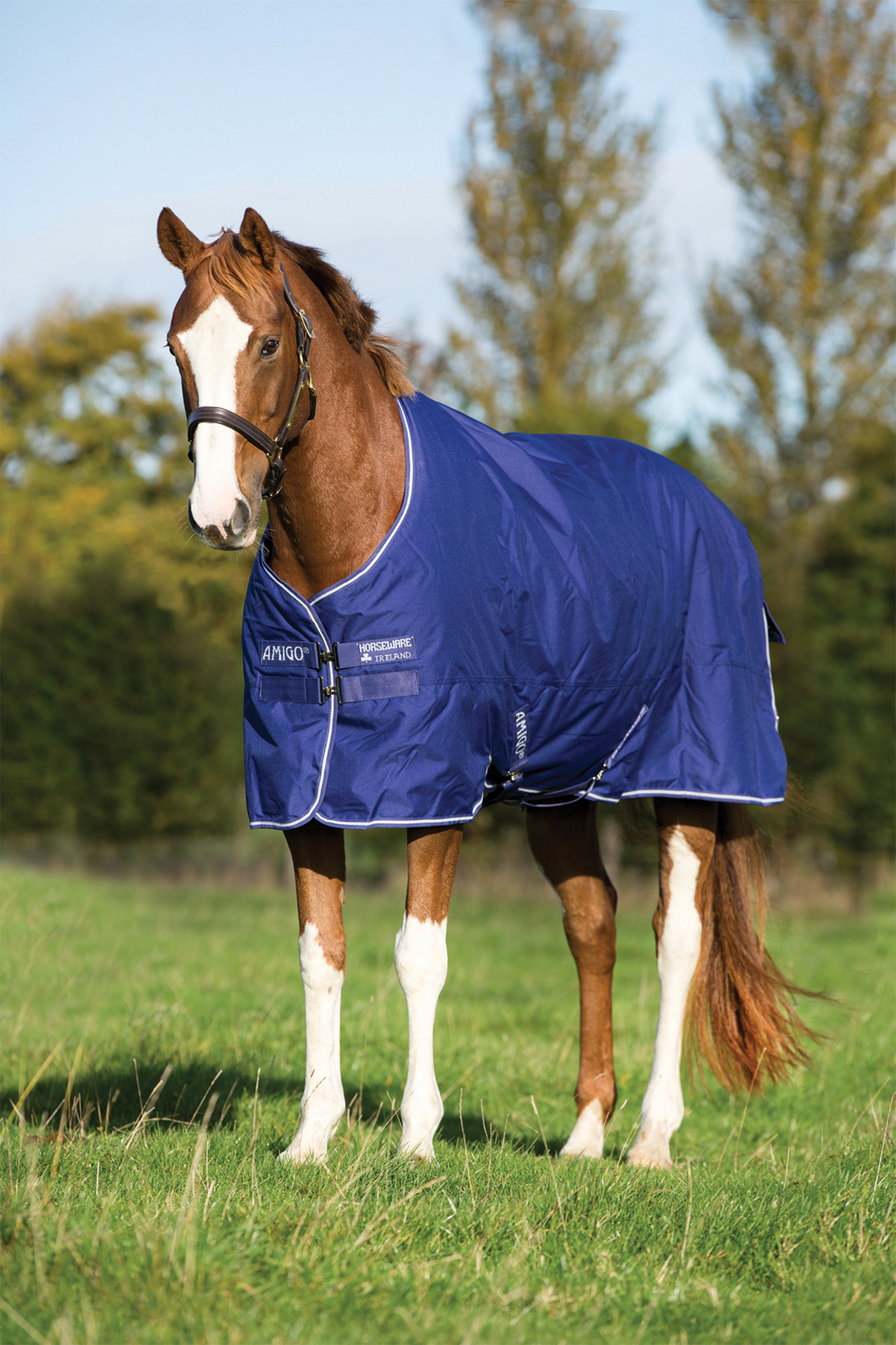Horseware Amigo Hero 900 Plus Medium coperta da paddock, 200g