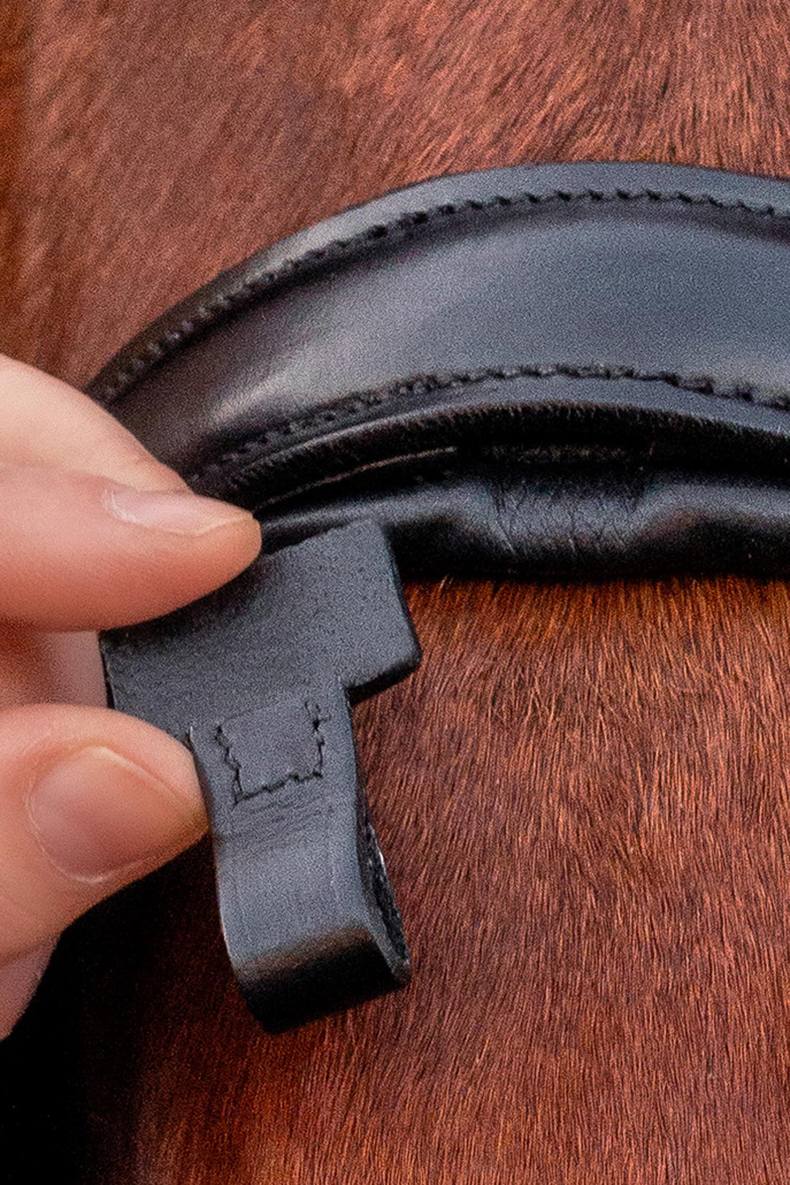 Schockem&ouml;hle Sports Monza Testiera