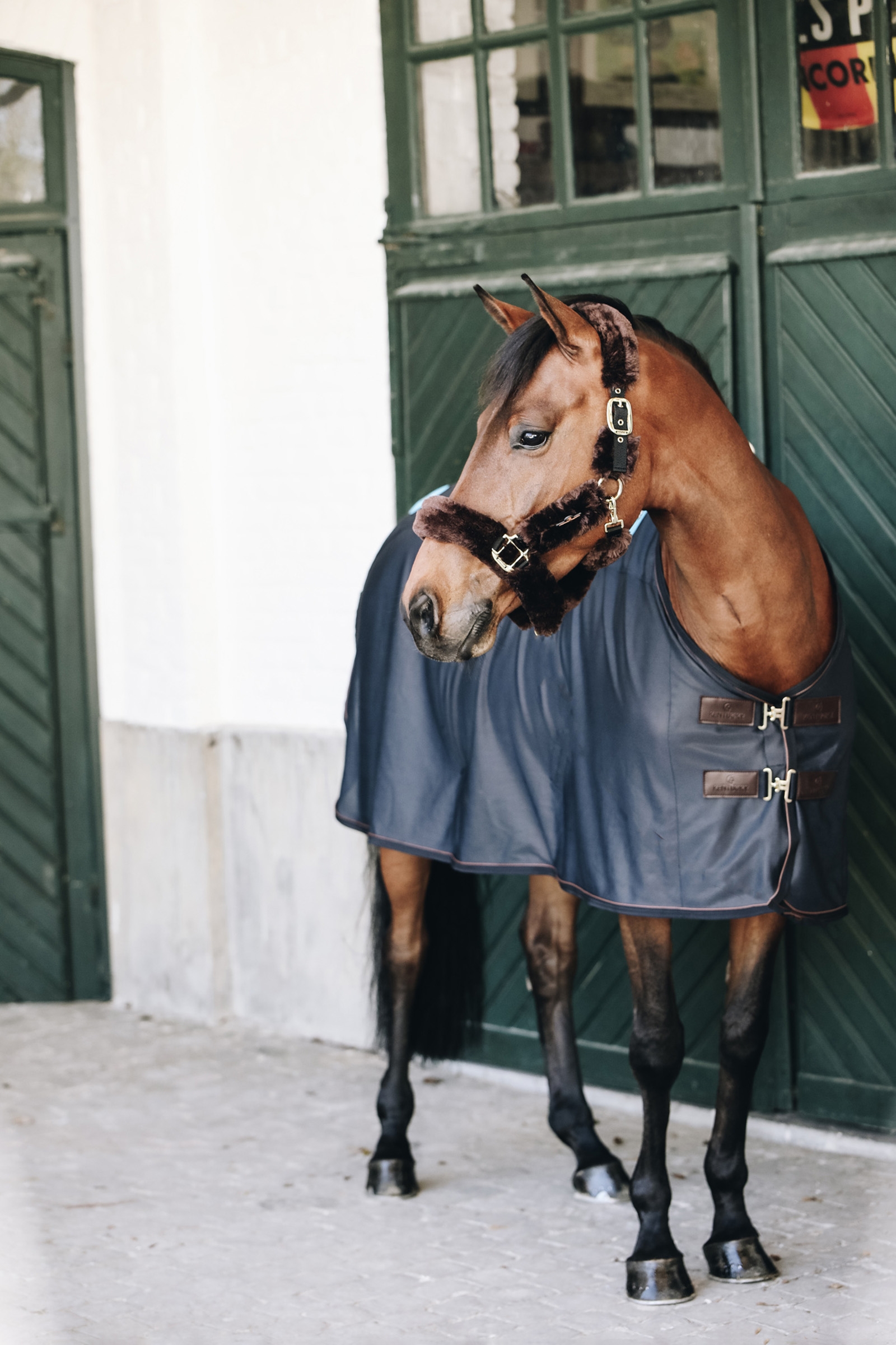 Tappeto magnetico Kentucky Horsewear Tiny Recuptex