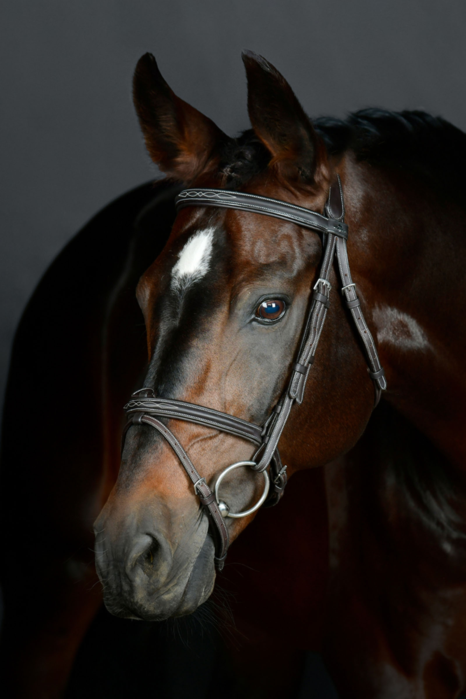 Collegiate Comfitec Opulux Fancy Stitch testiera hanoveriana imbottita