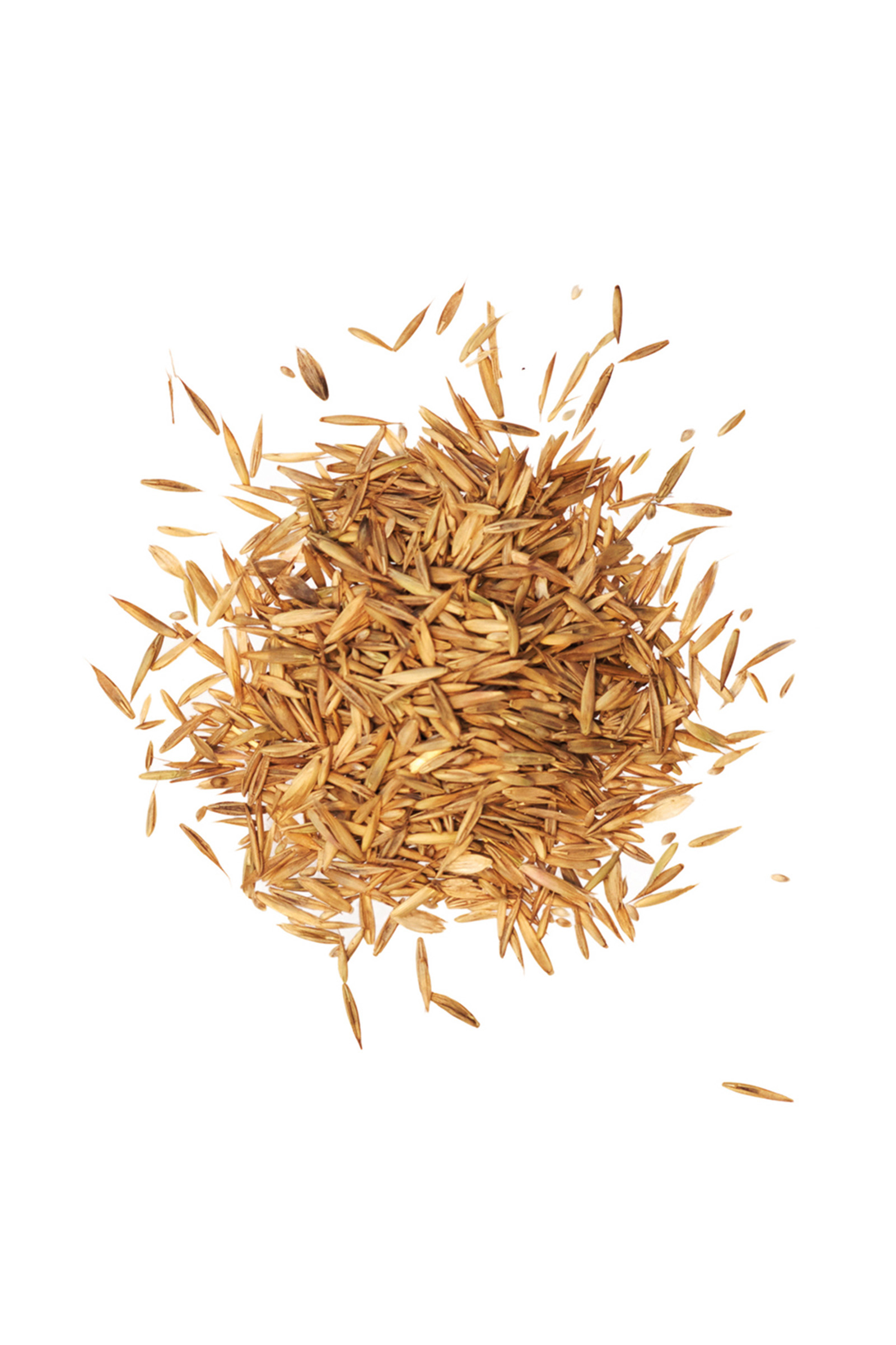 Agrobs Pre Alpin Sementi 10kg