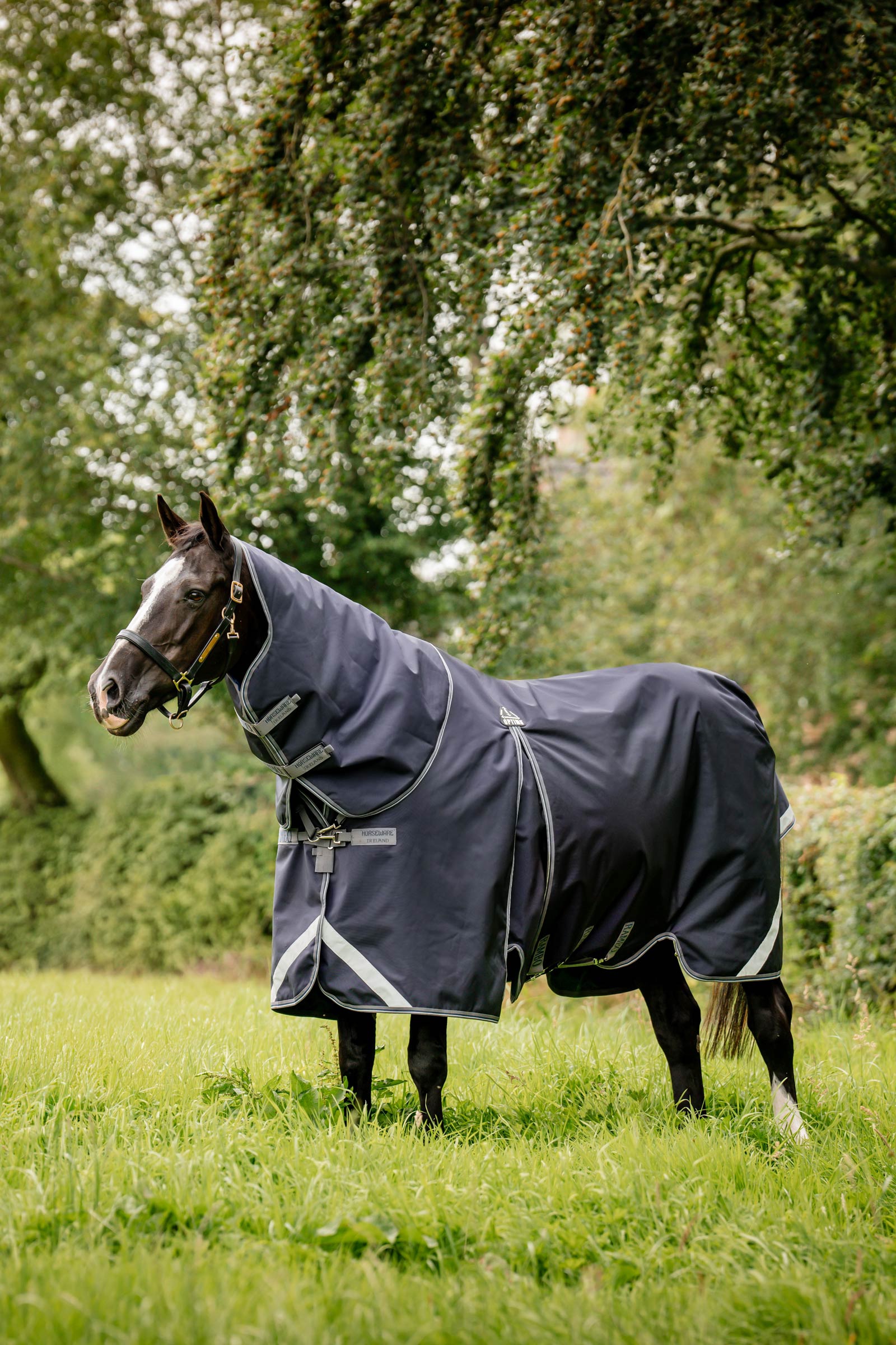 Horseware Rambo Optimo Plus Budle Coperta da Pascolo (con 200g Liner)