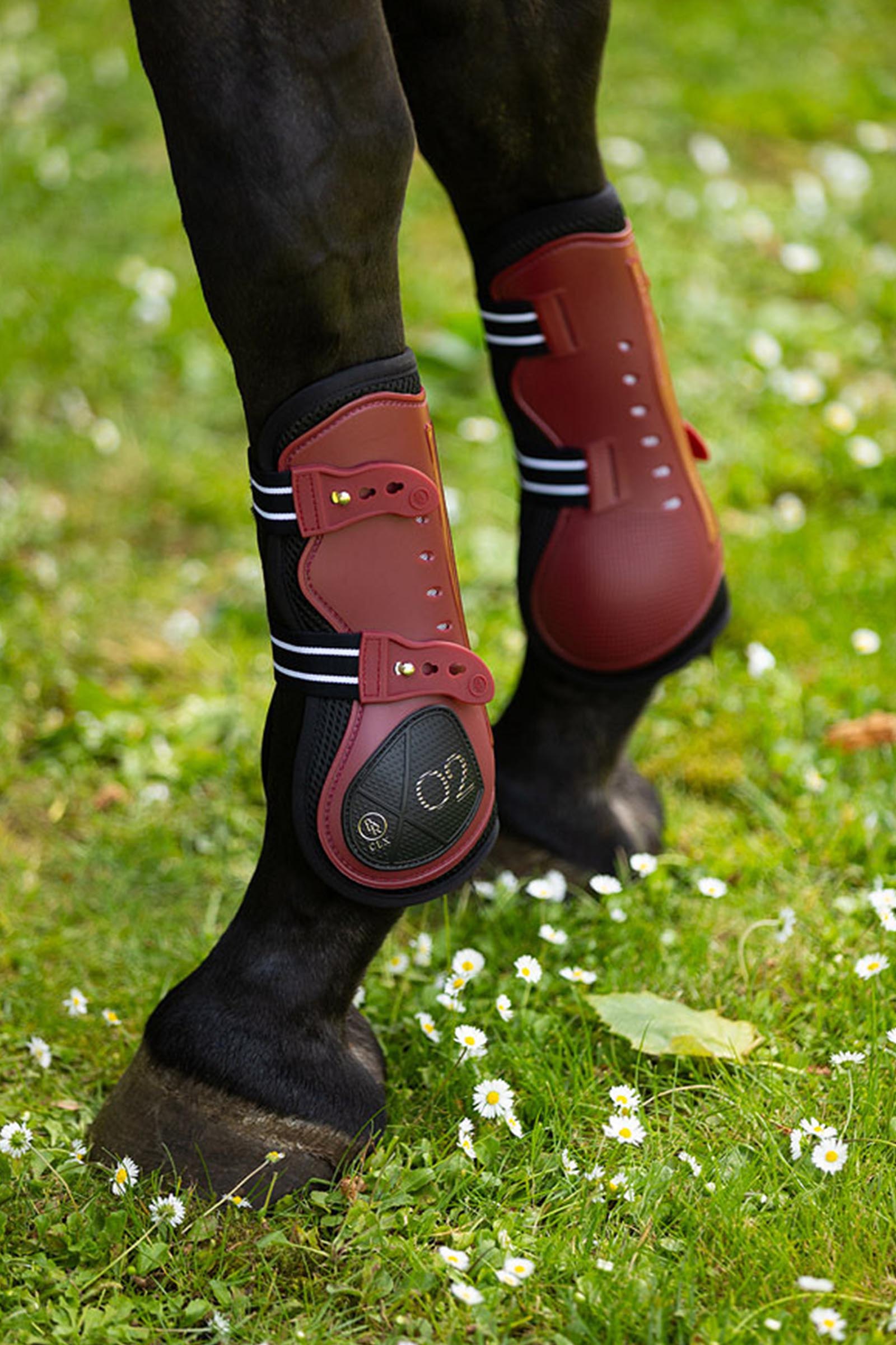 BR CLX XO2 paratendini