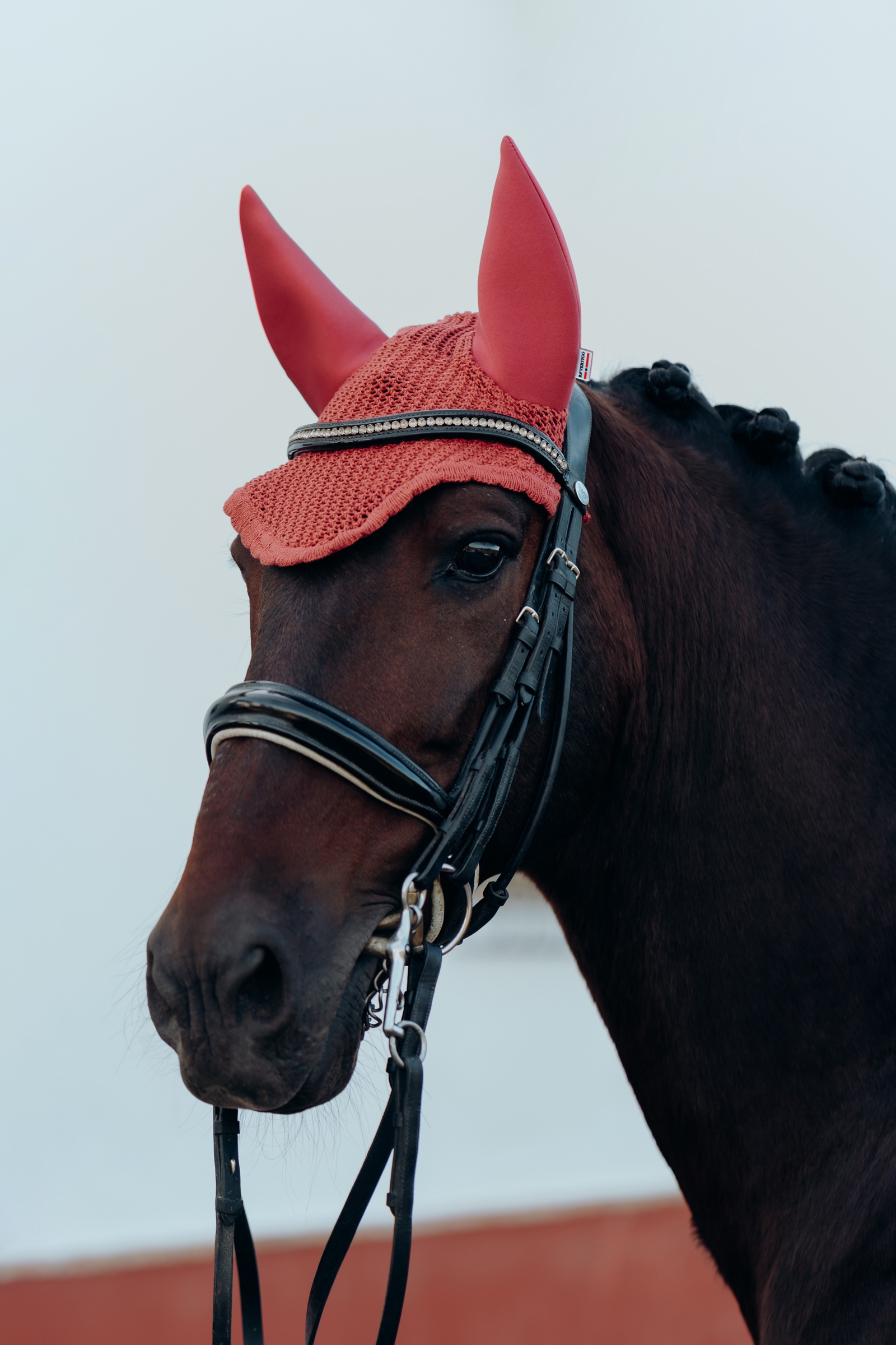 B Vertigo Laurel Cuffiette per cavalli