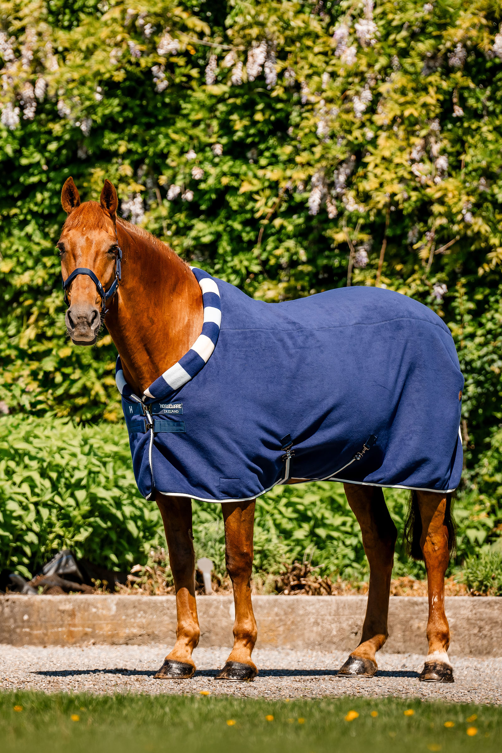 Horseware Newmarket Cosy Fleece Coperta antisudore