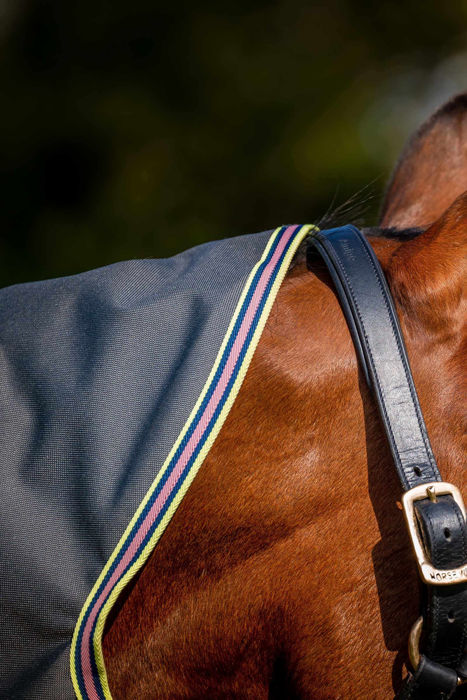 Horseware Amigo Bravo 12 Plus coperta da turnout con collo staccabile, 0g