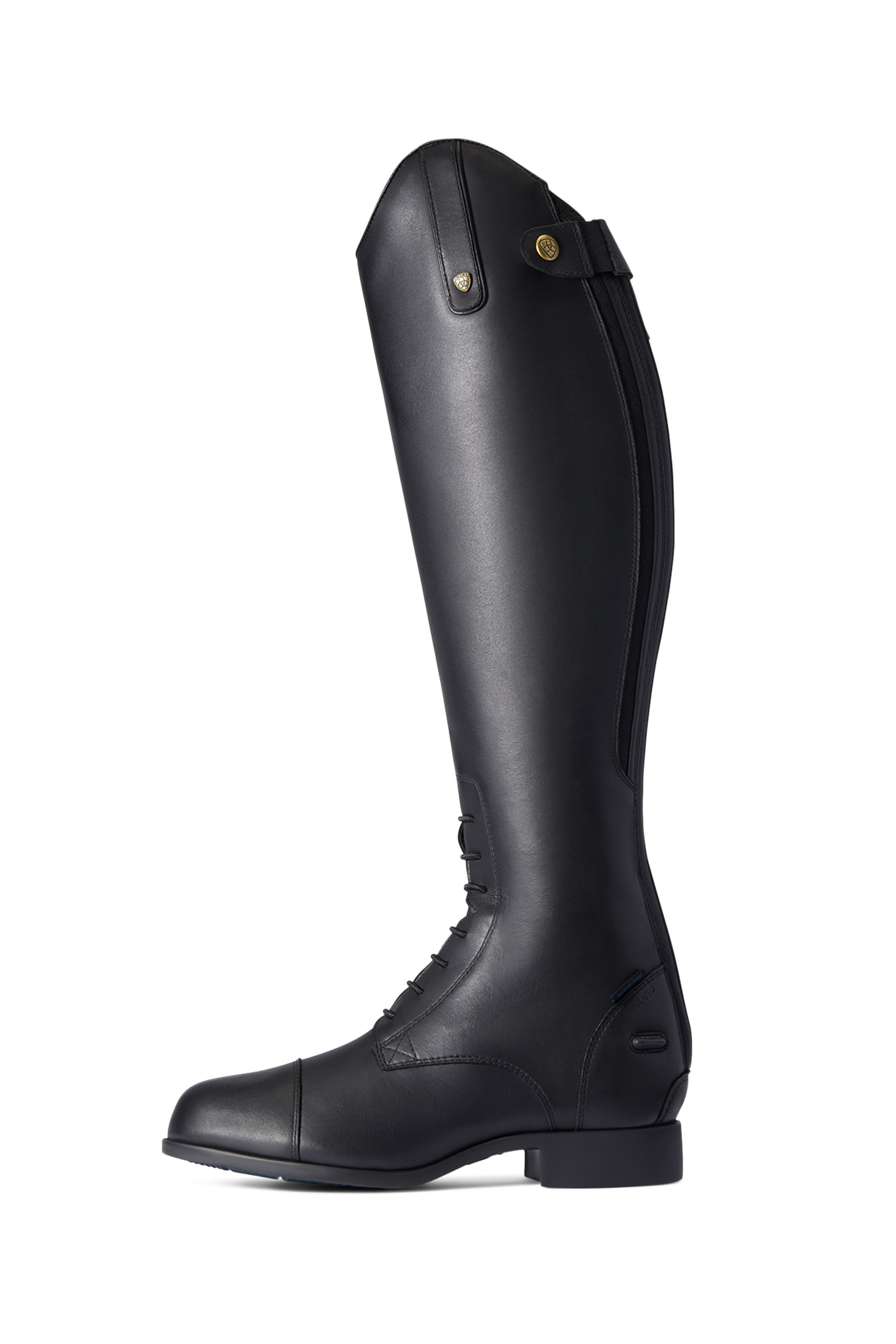 Ariat Heritage Contour II H2O stivali da equitazione isolati da donna