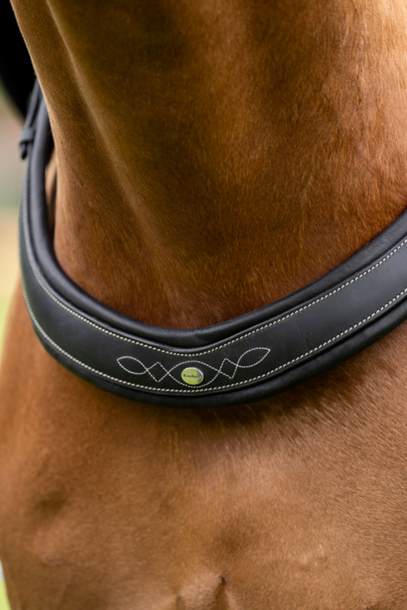 Kavalkade Jerome Pettorina a 2 Punti