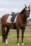BR Glamour Chic sottosella da dressage