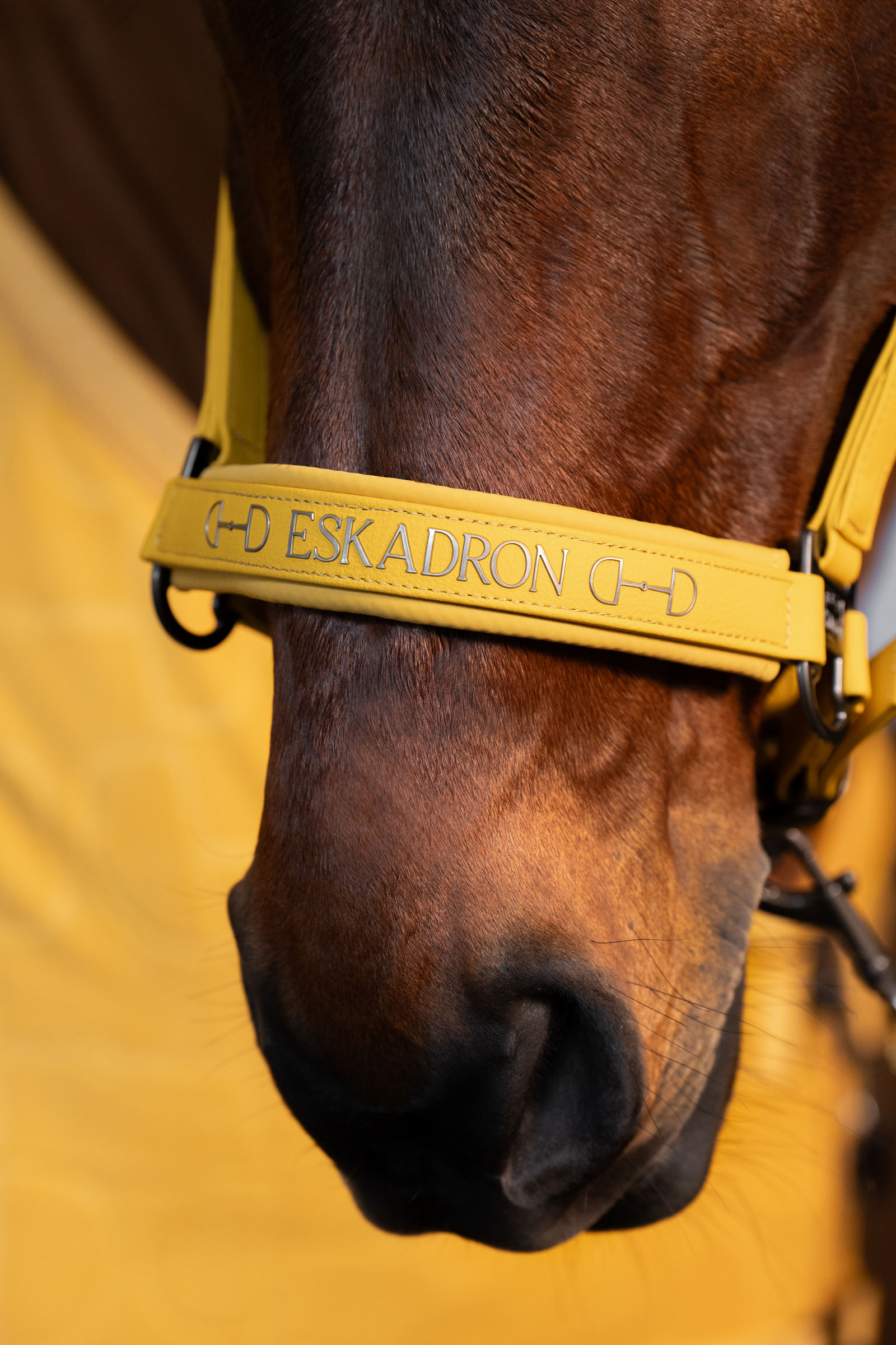 Eskadron Platinum 25 Cavezza a doppio pin in ecopelle