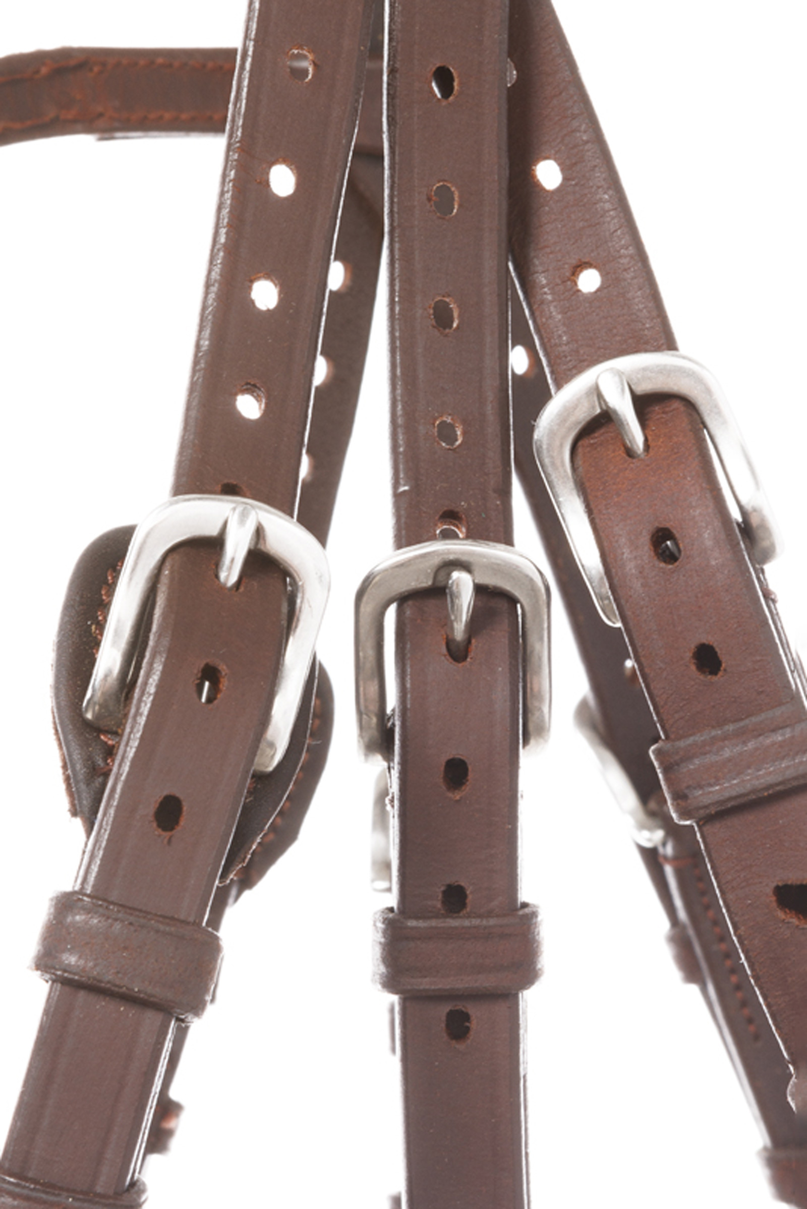 Briglia Kavalkade Everlyn crank con chiudibocca