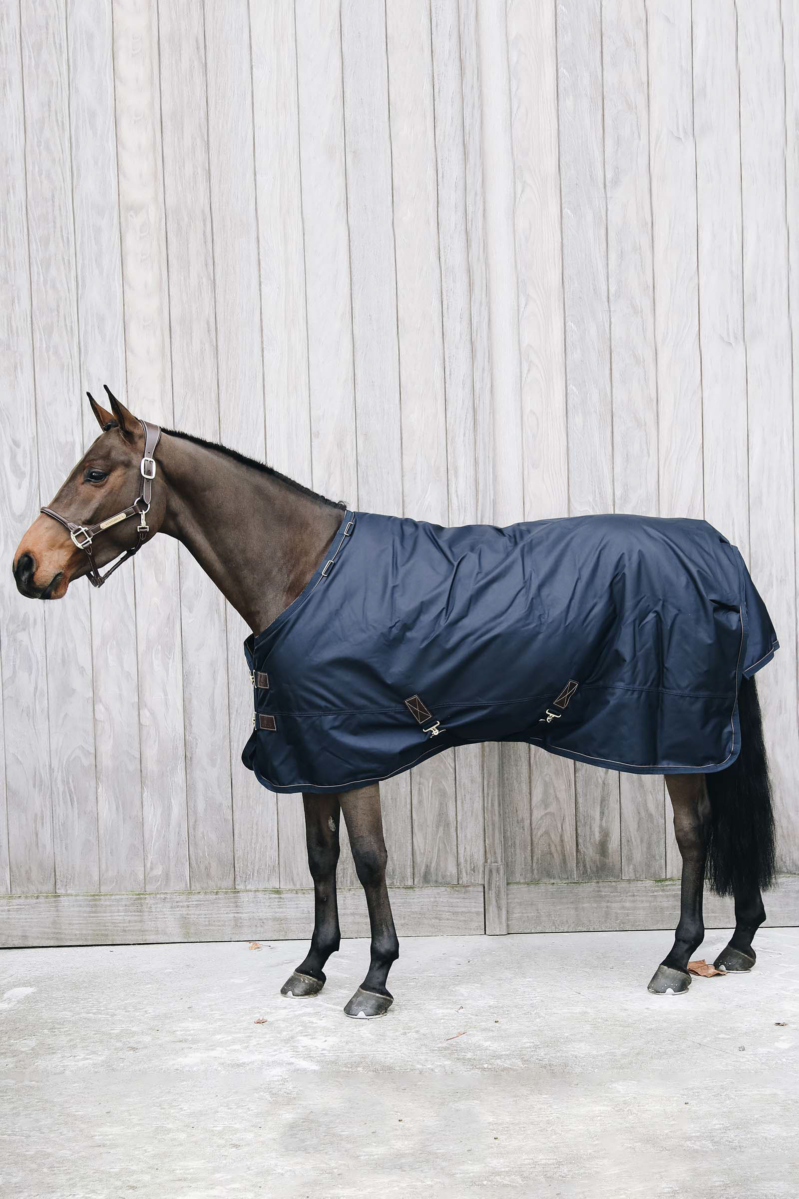 Kentucky Horsewear Coperta da turnout All Weather Waterproof Pro, 0 gr