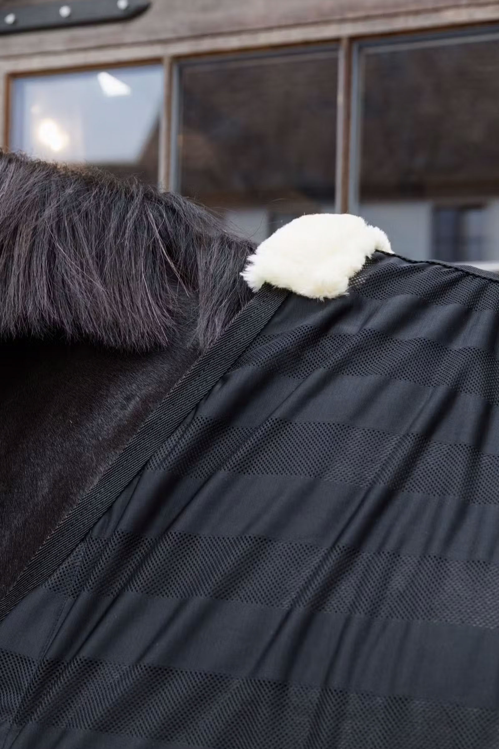 Kentucky Horsewear coperta antimosche leggera a righe in rete