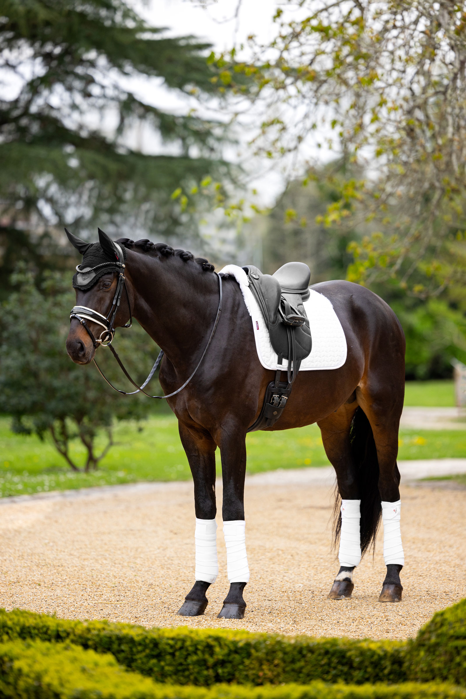 LeMieux Merino+ Sottosella da Dressage effetto scamosciato, mezza foderato