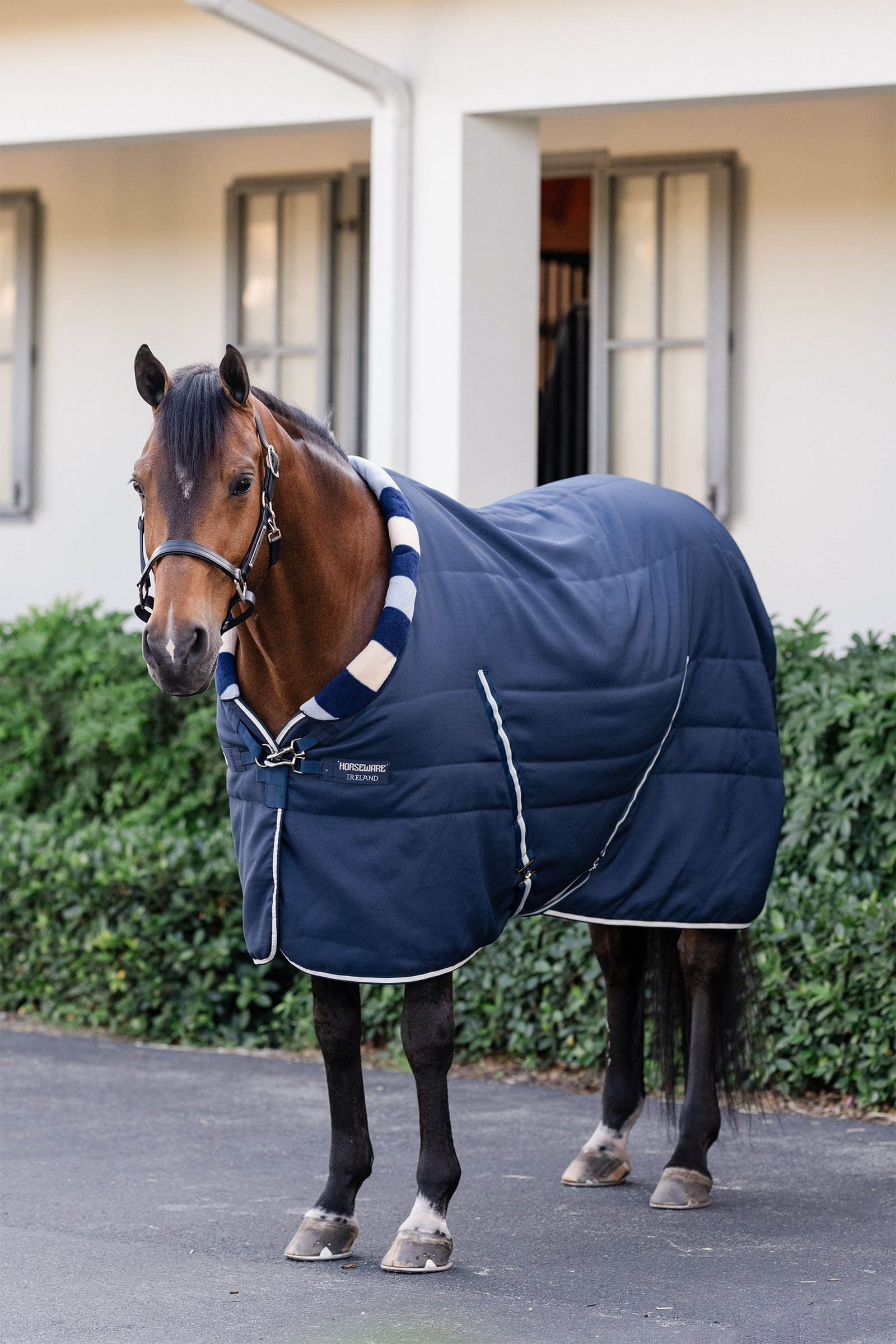 Horseware Newmarket Cosy Coperta da stalla 100g