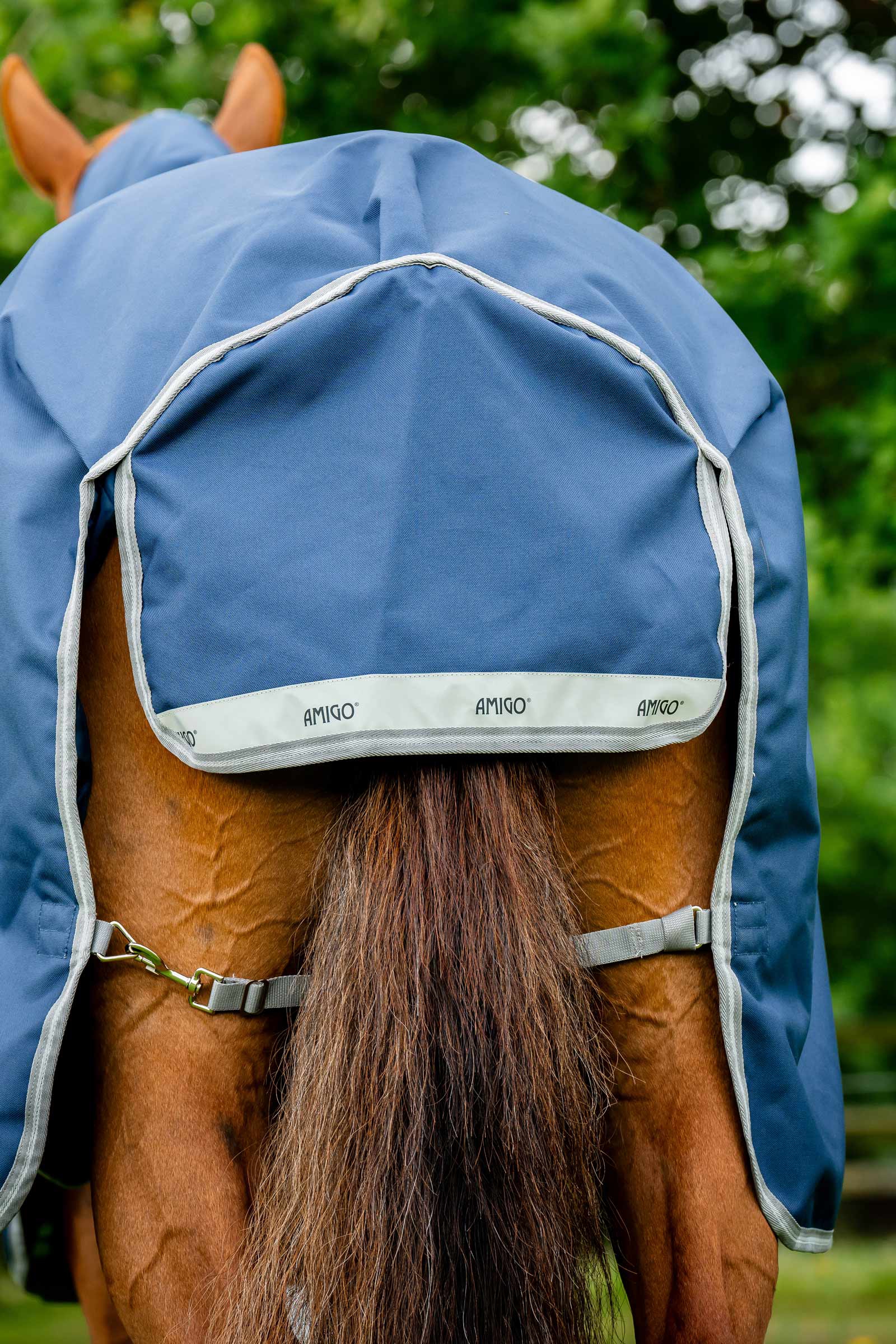 Horseware Amigo Bravo 12 Plus coperta da turnout, 250 g