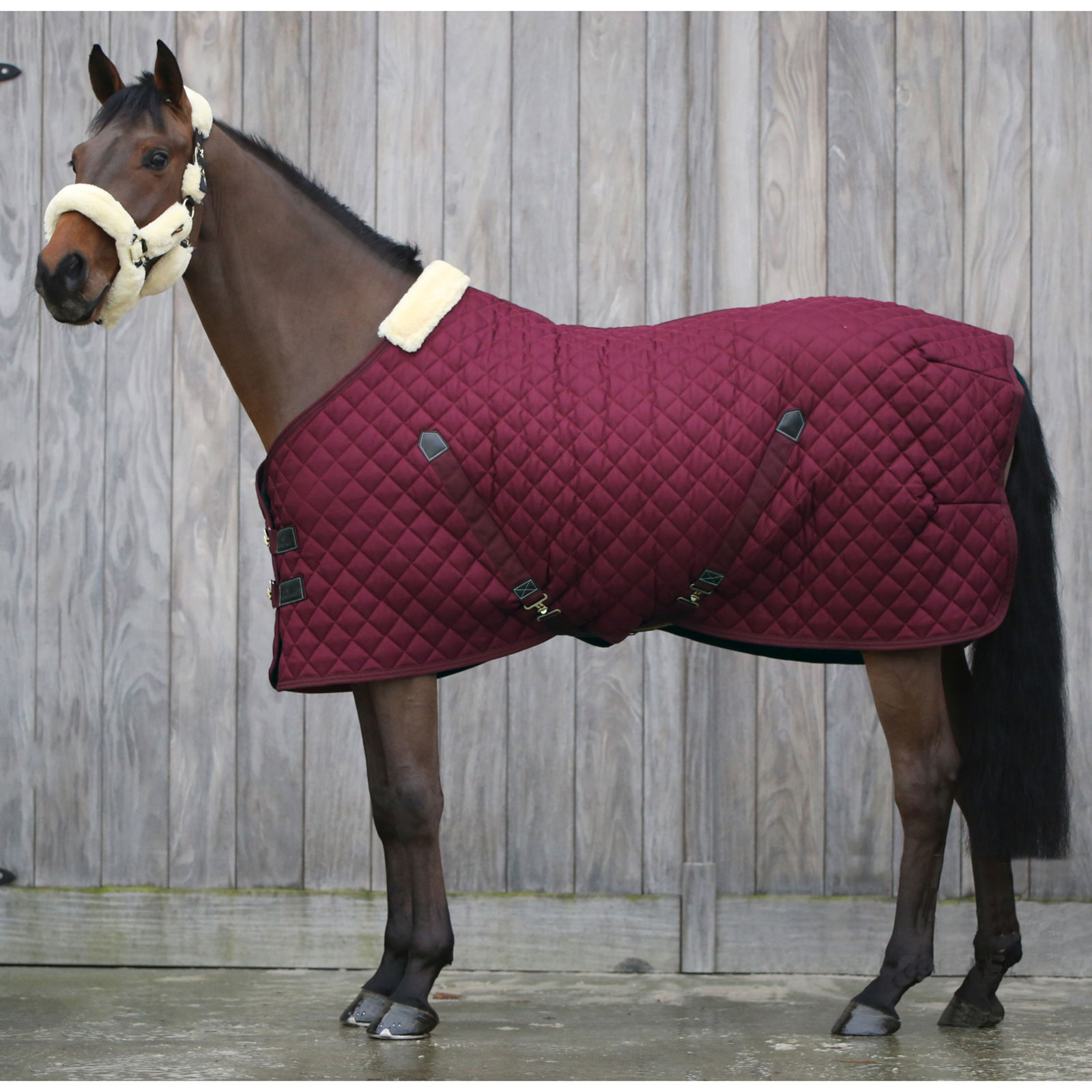 Dark Red Kentucky Horsewear, Coperta da scuderia 400 gr