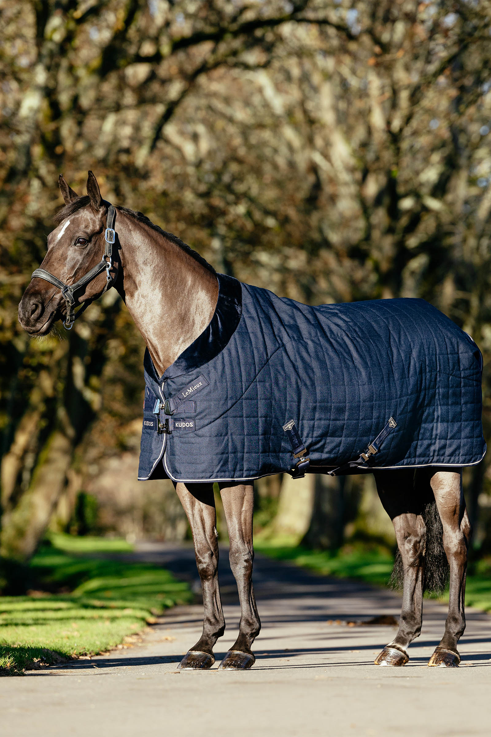 LeMieux Kudos Luxe coperta da box foderata, 100 g