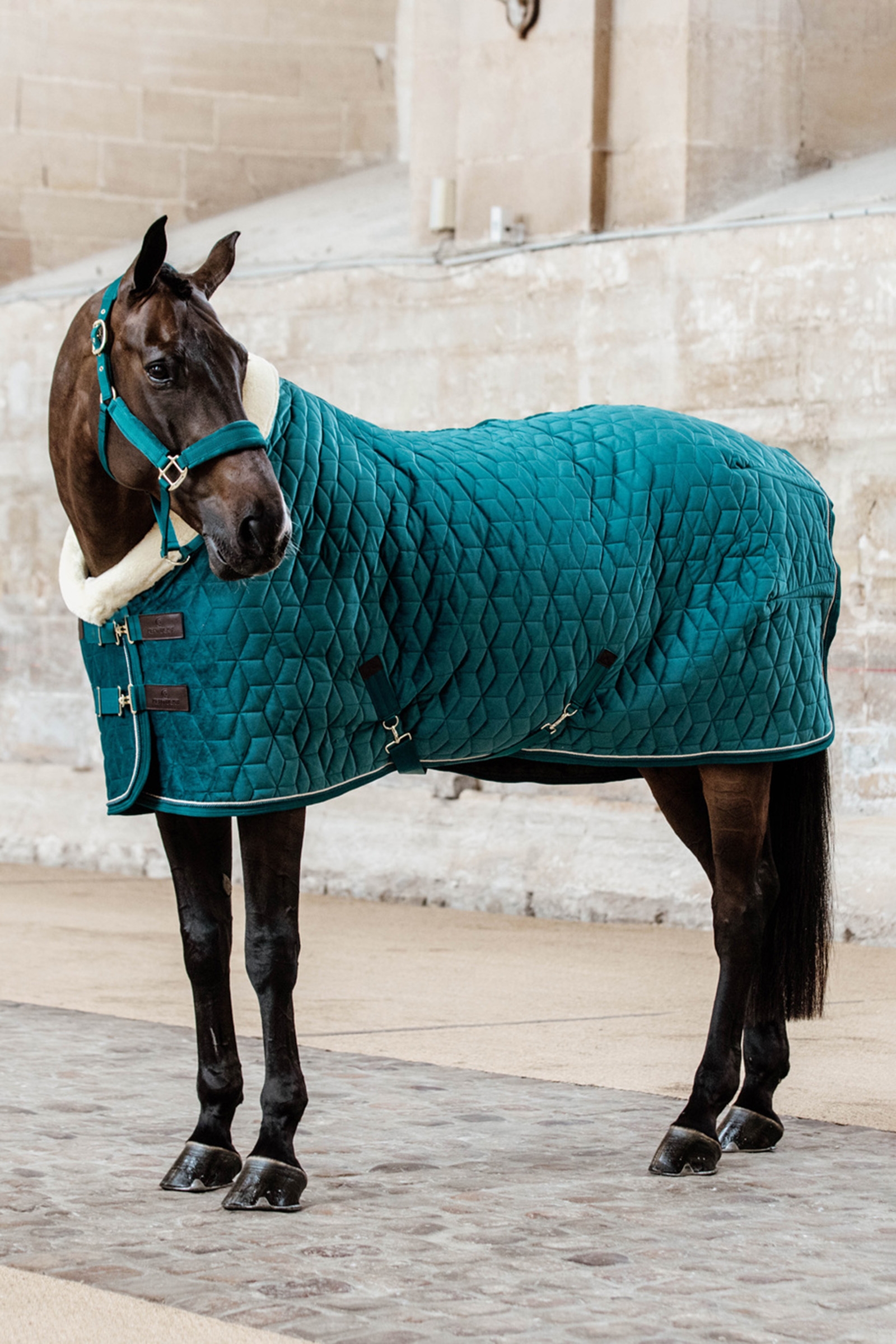 Kentucky Horsewear Coperta da concorso Velvet per pony, 160 gr