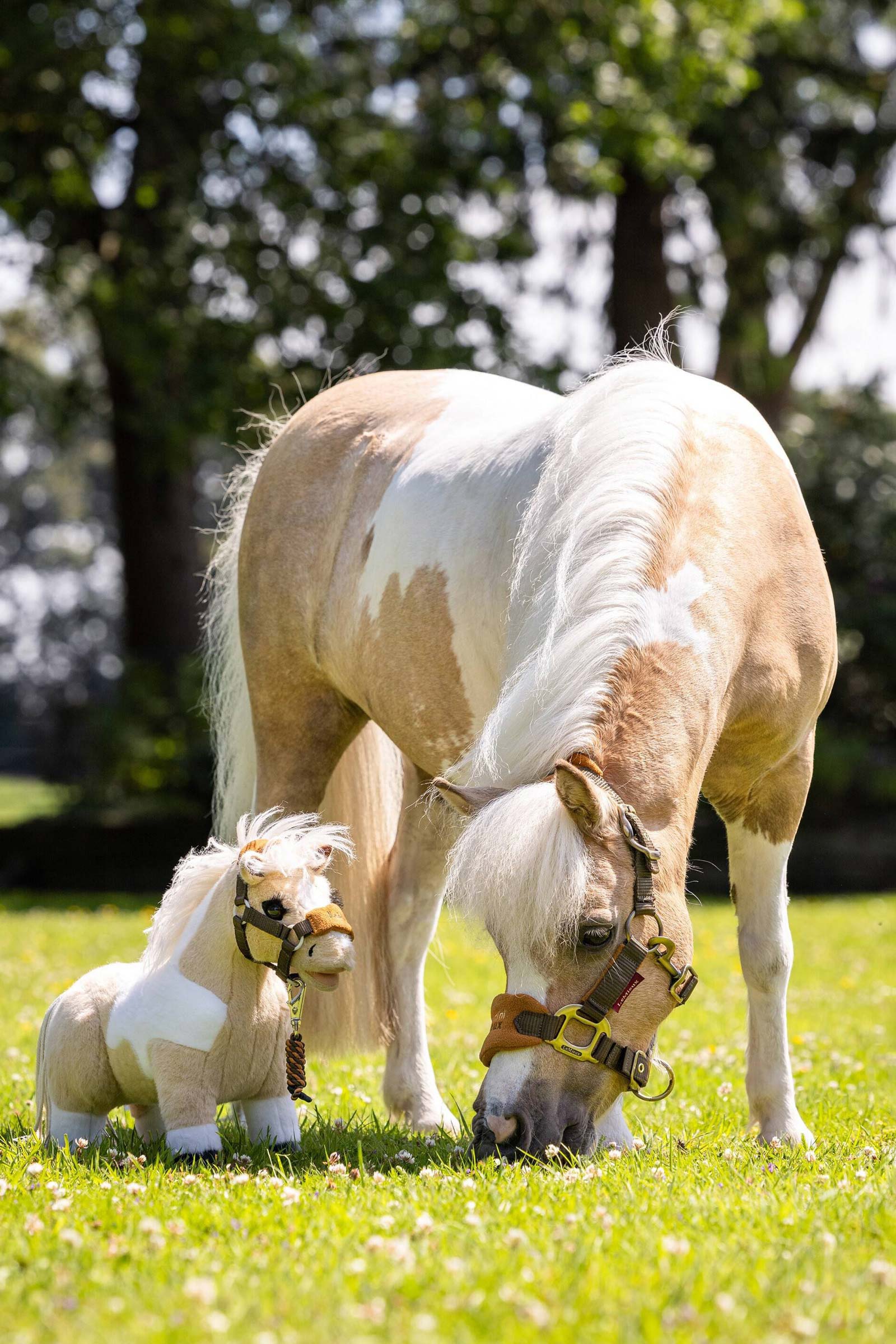 LeMieux Lemon pony giocattolo