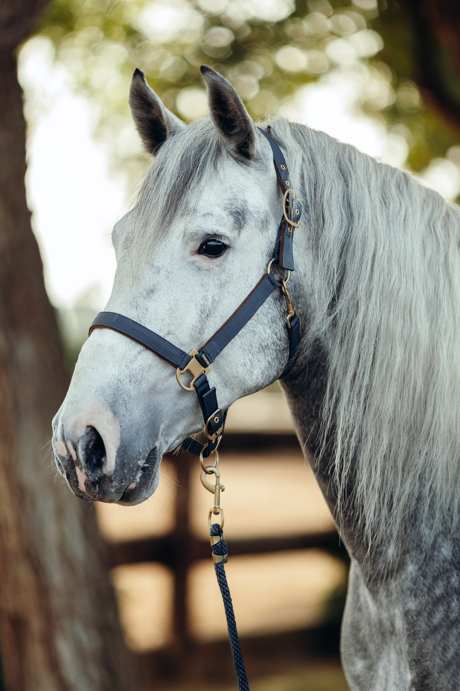 Horze Houston Capezza