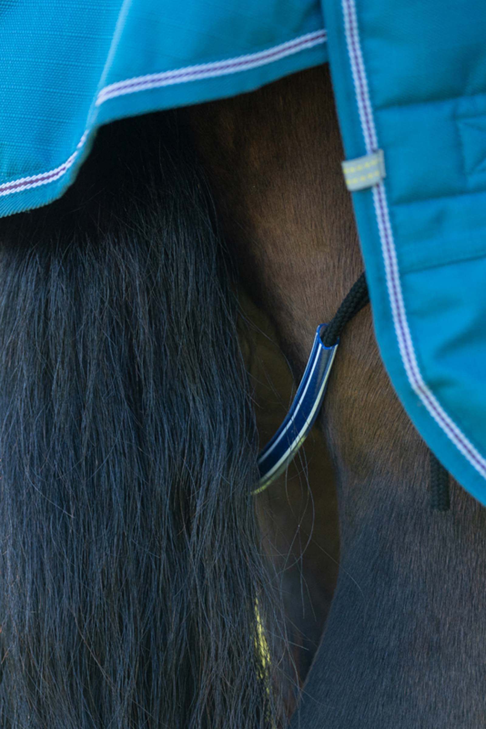 Tappeto Kavalkade Turnout Alaska IV Fleece