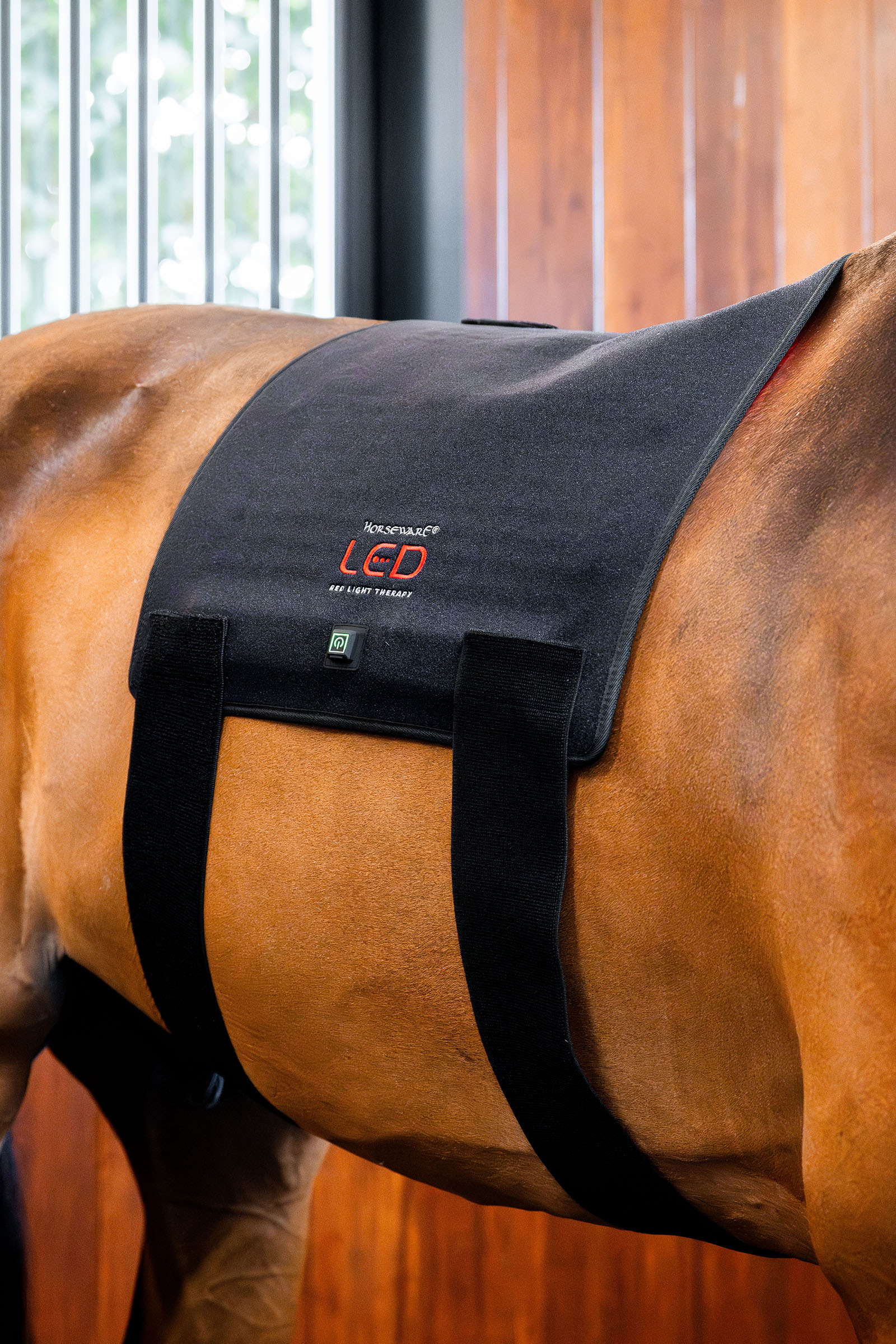 Horseware Pad terapeutico a LED con luce rossa