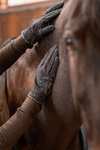 Guanti da equitazione estivi Horze Nichelle, donna