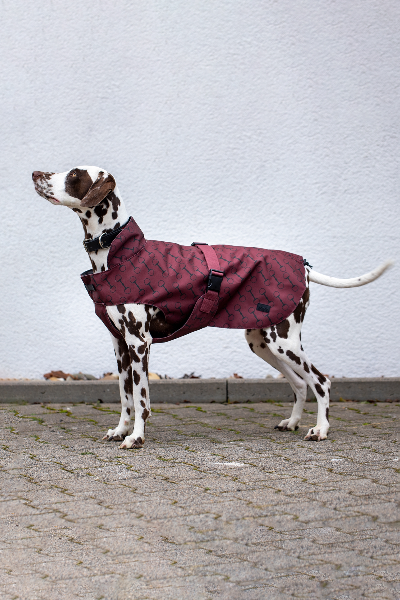 Burgundy Red Mahogany Horze Noir Cappotto per cani con stampa