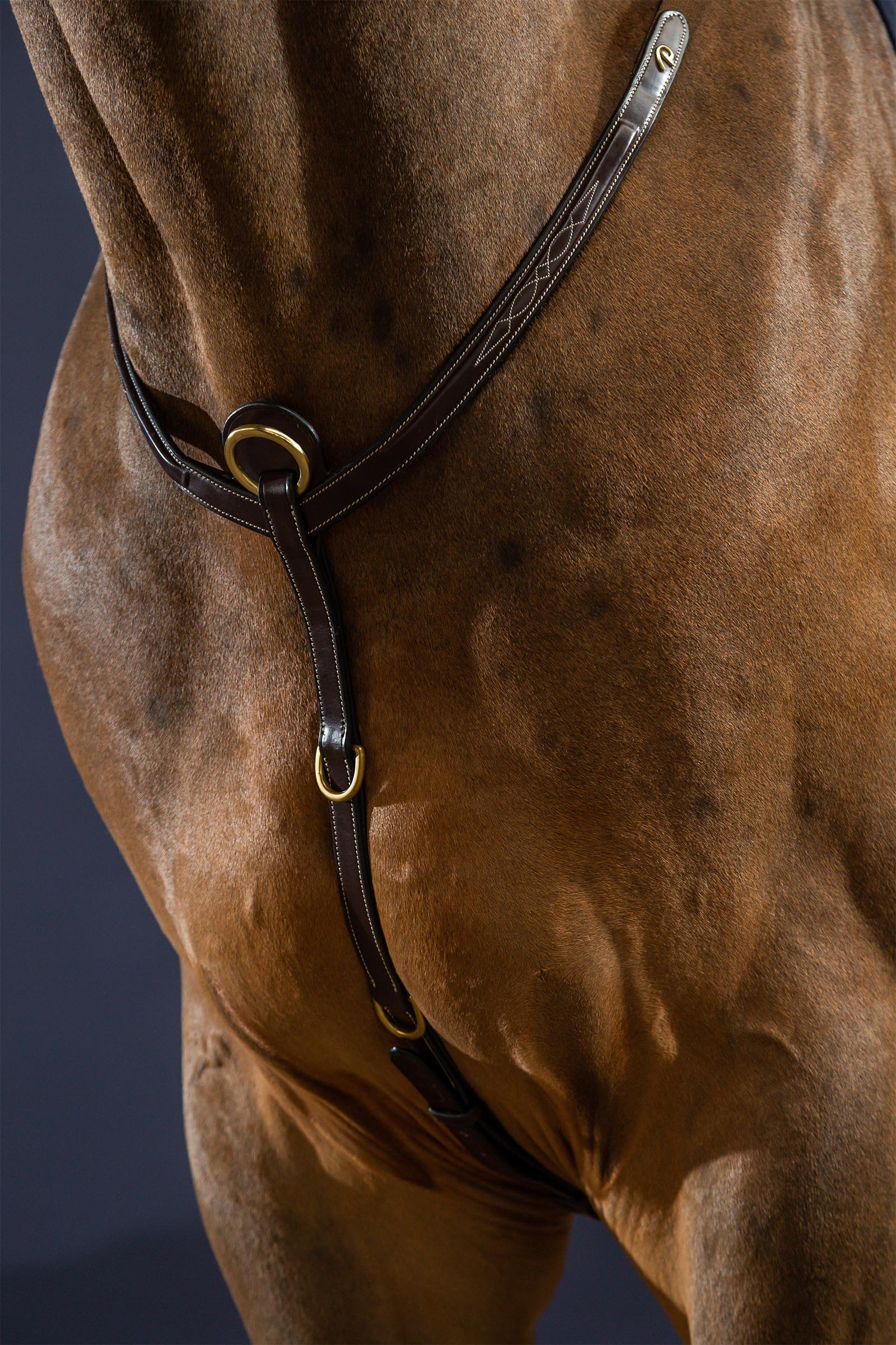 Dy'on D Collection pettorale con ponte