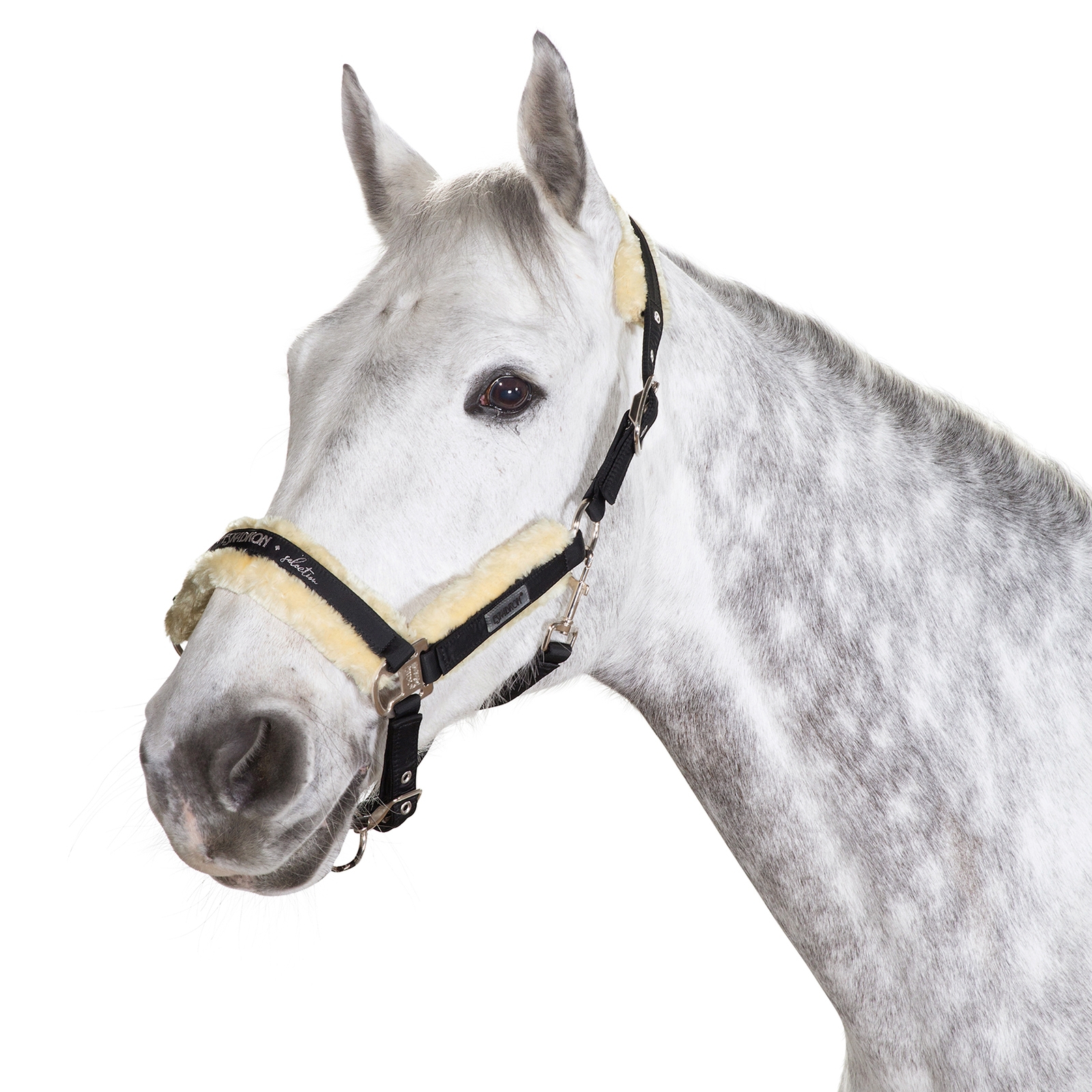 Eskadron Capezza con fibbia ad ardiglione con pelliccia sintetica