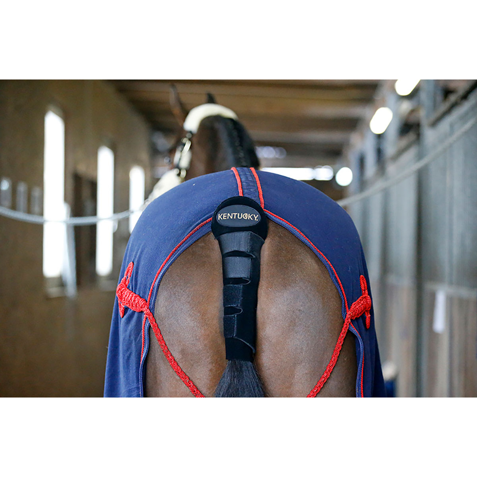 Copricoda / Borsa per coda Kentucky Horsewear