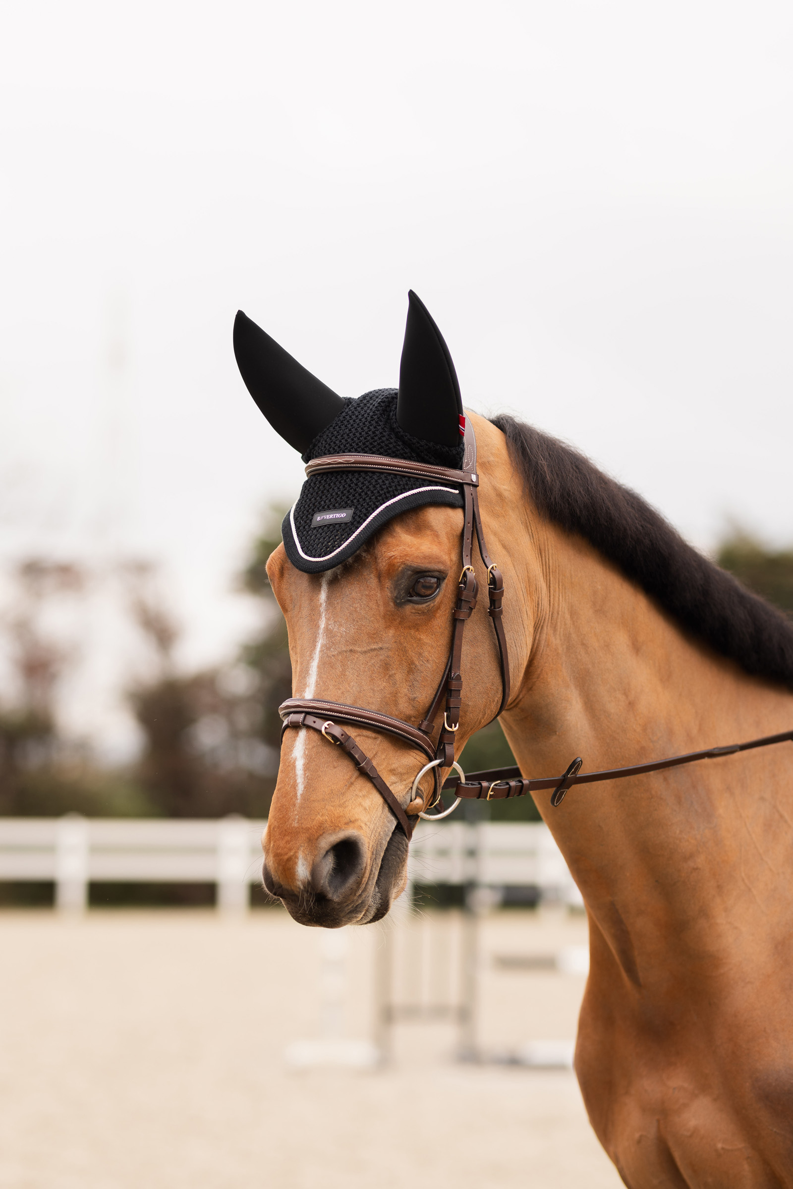 B Vertigo Cappuccio antimosche Rouge Reflection