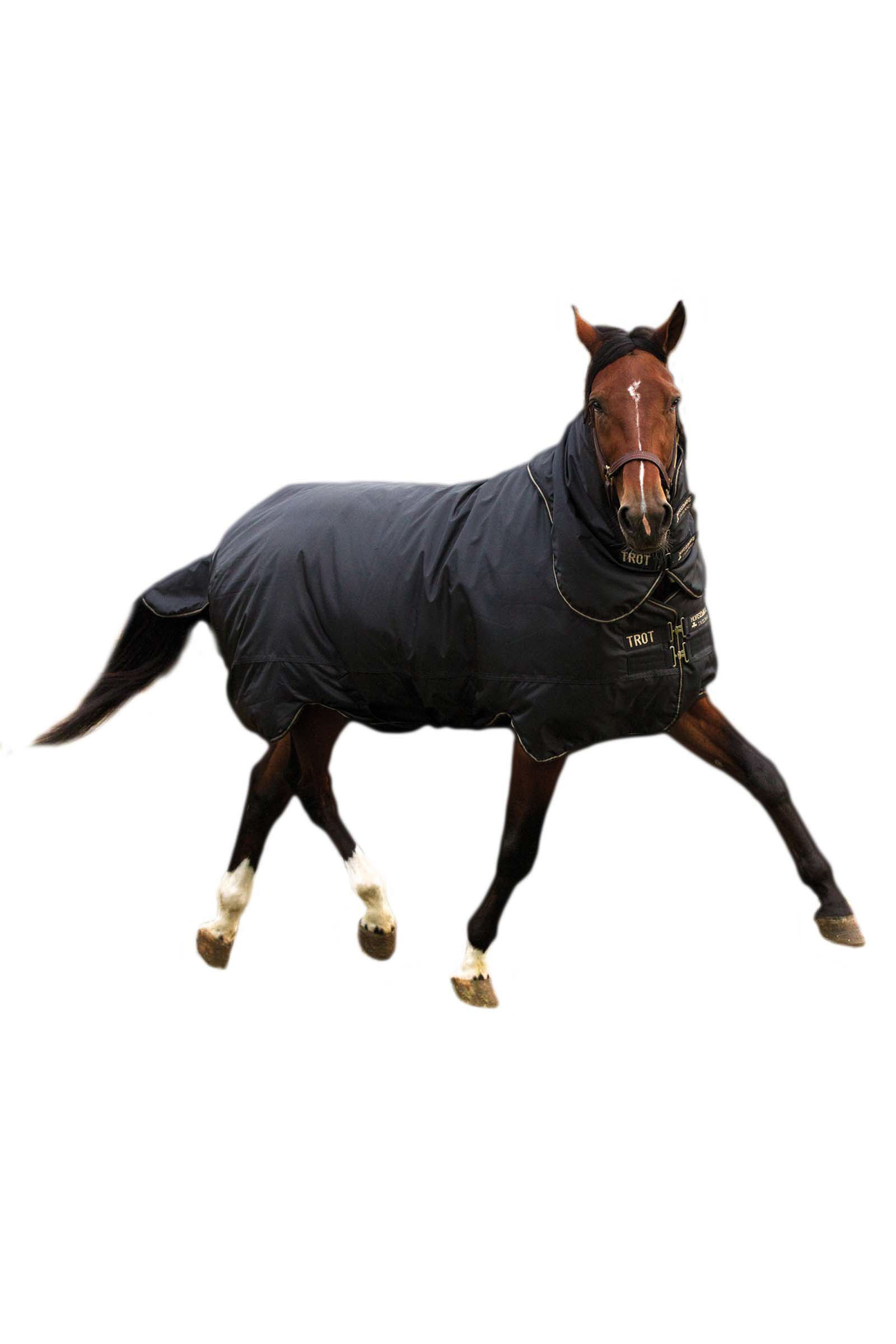Horseware Trot Plus Coperta da turnout leggera con colletto rimovibile, 350g