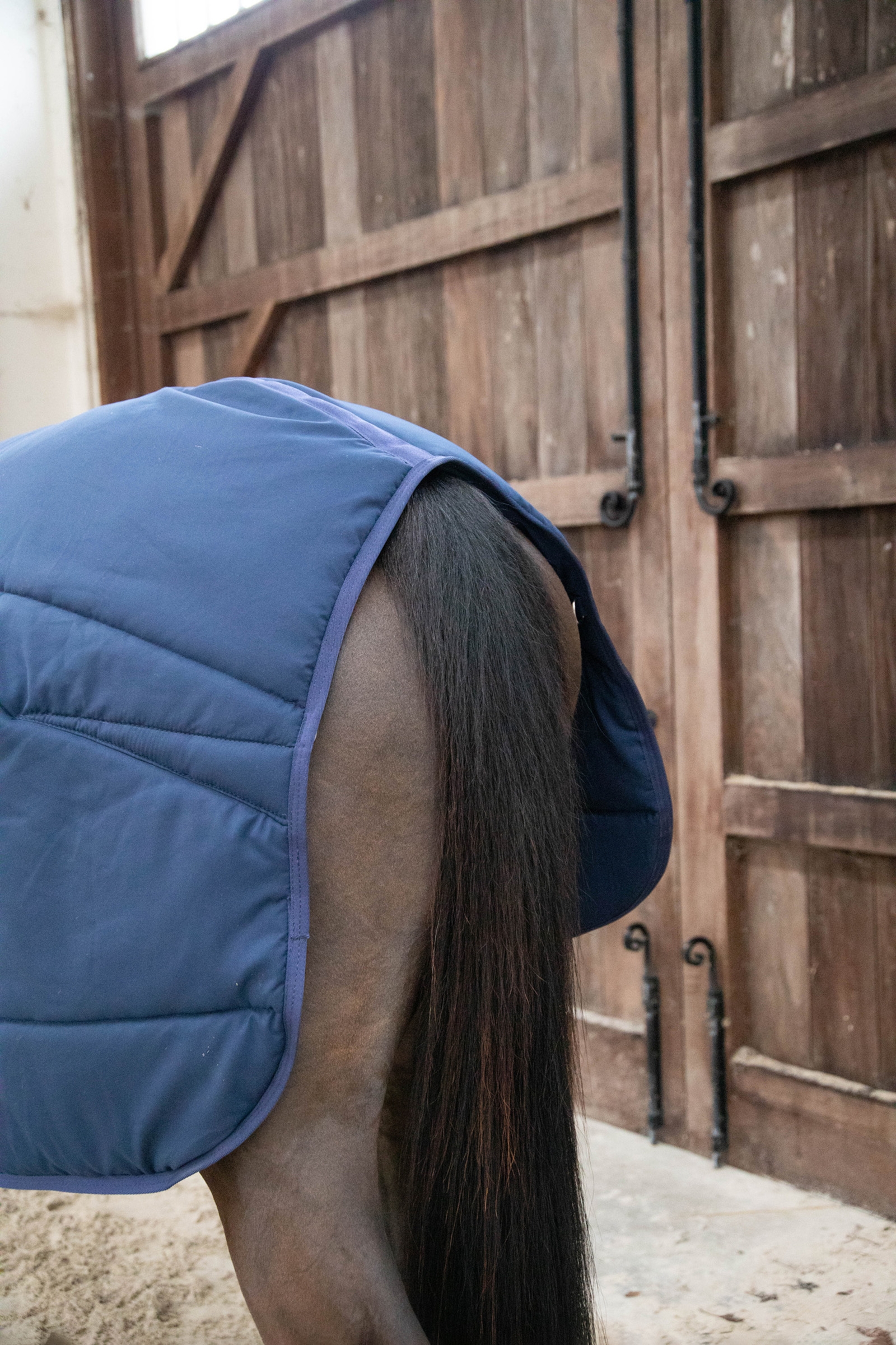 Kentucky Horsewear Classic sottocoperta, 100 g