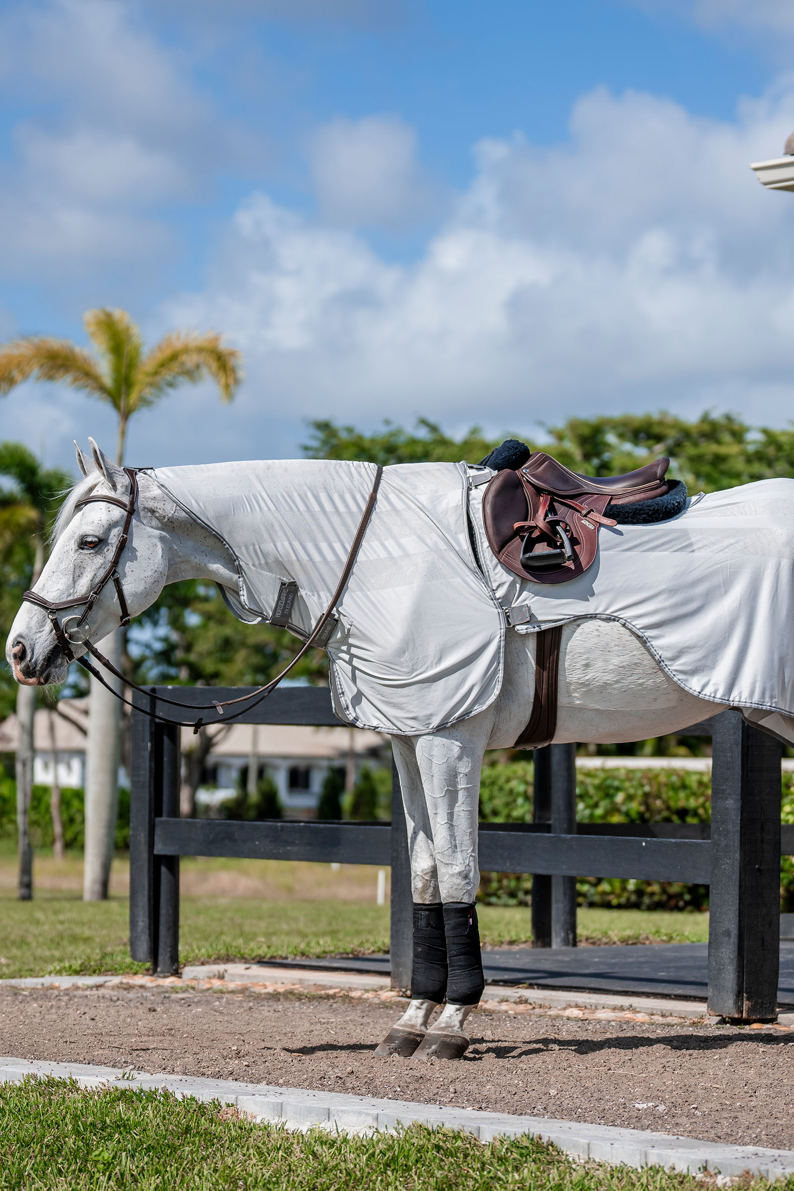 Silver/Titanium Grey & Silver Horseware Amigo Flyrider coperta da allenamento, 0 g