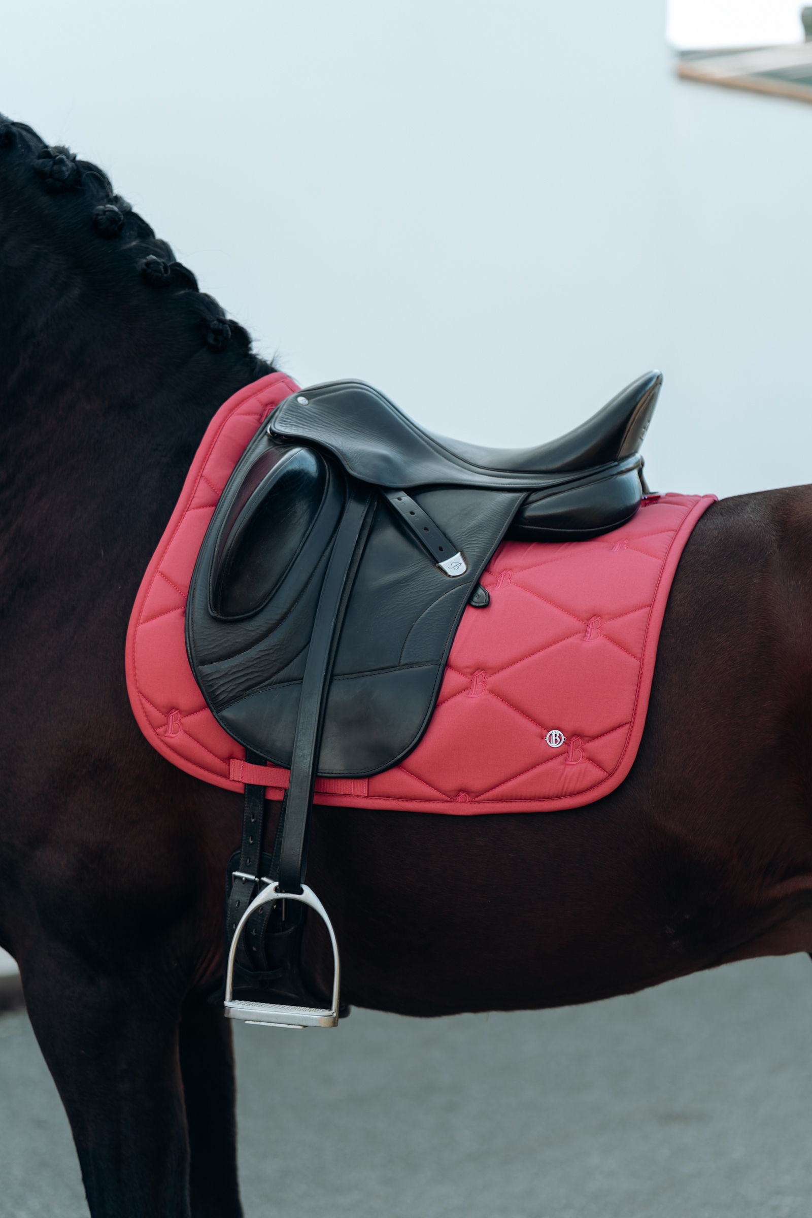 B Vertigo Laurel Sottosella da dressage