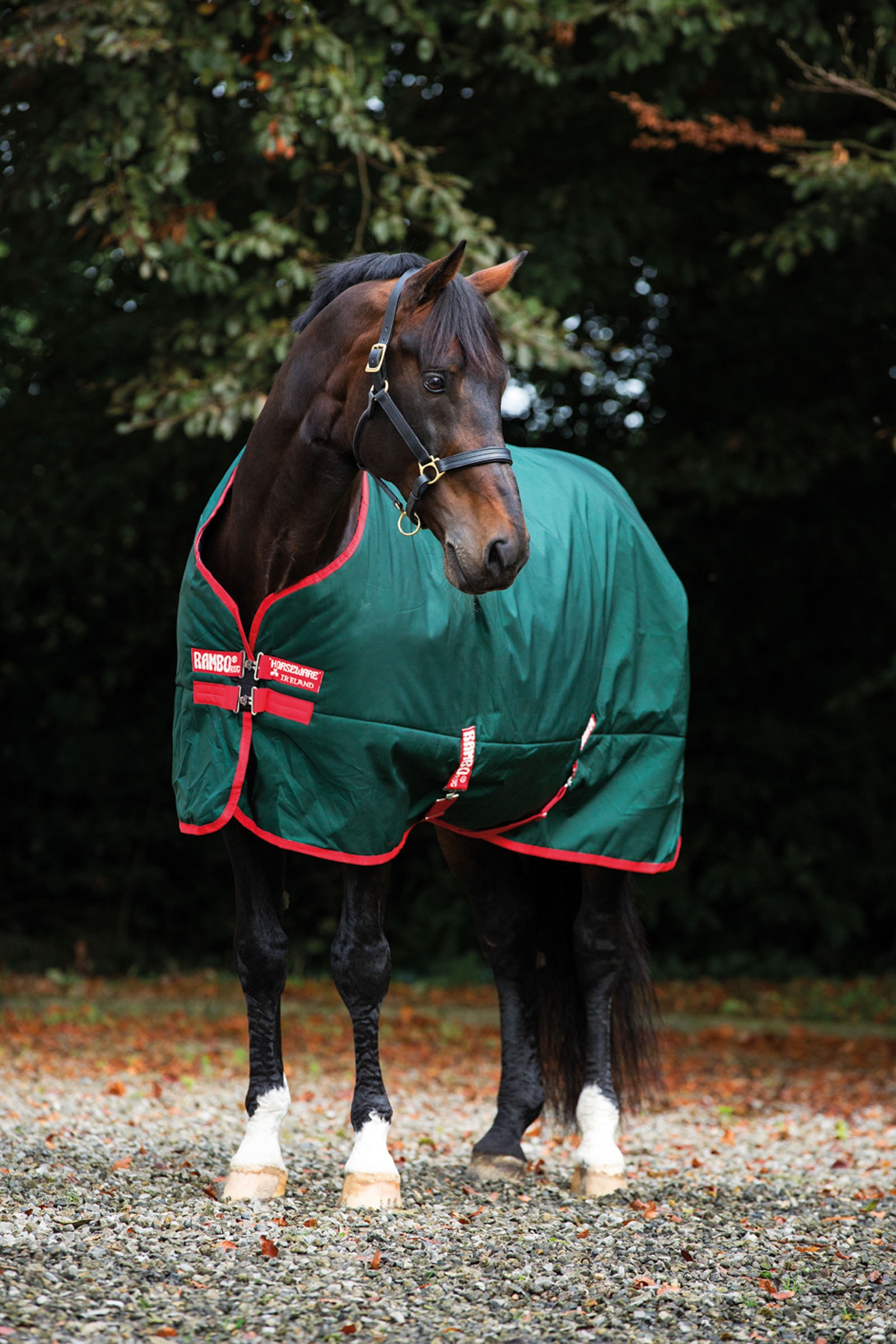Horseware Rambo Original Turnout, 0g