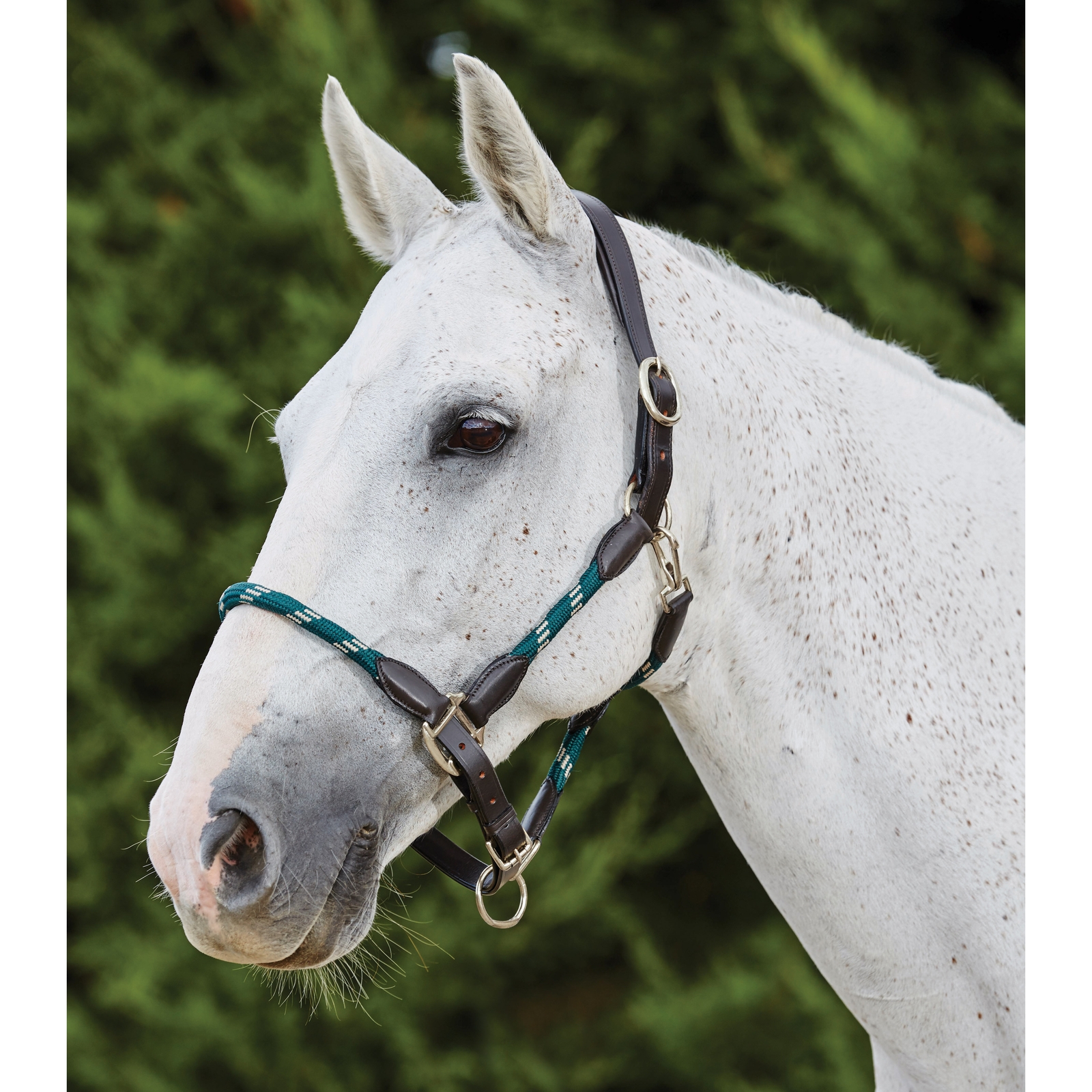 Hunter Green/Brown Collare in corda di cuoio Kincade