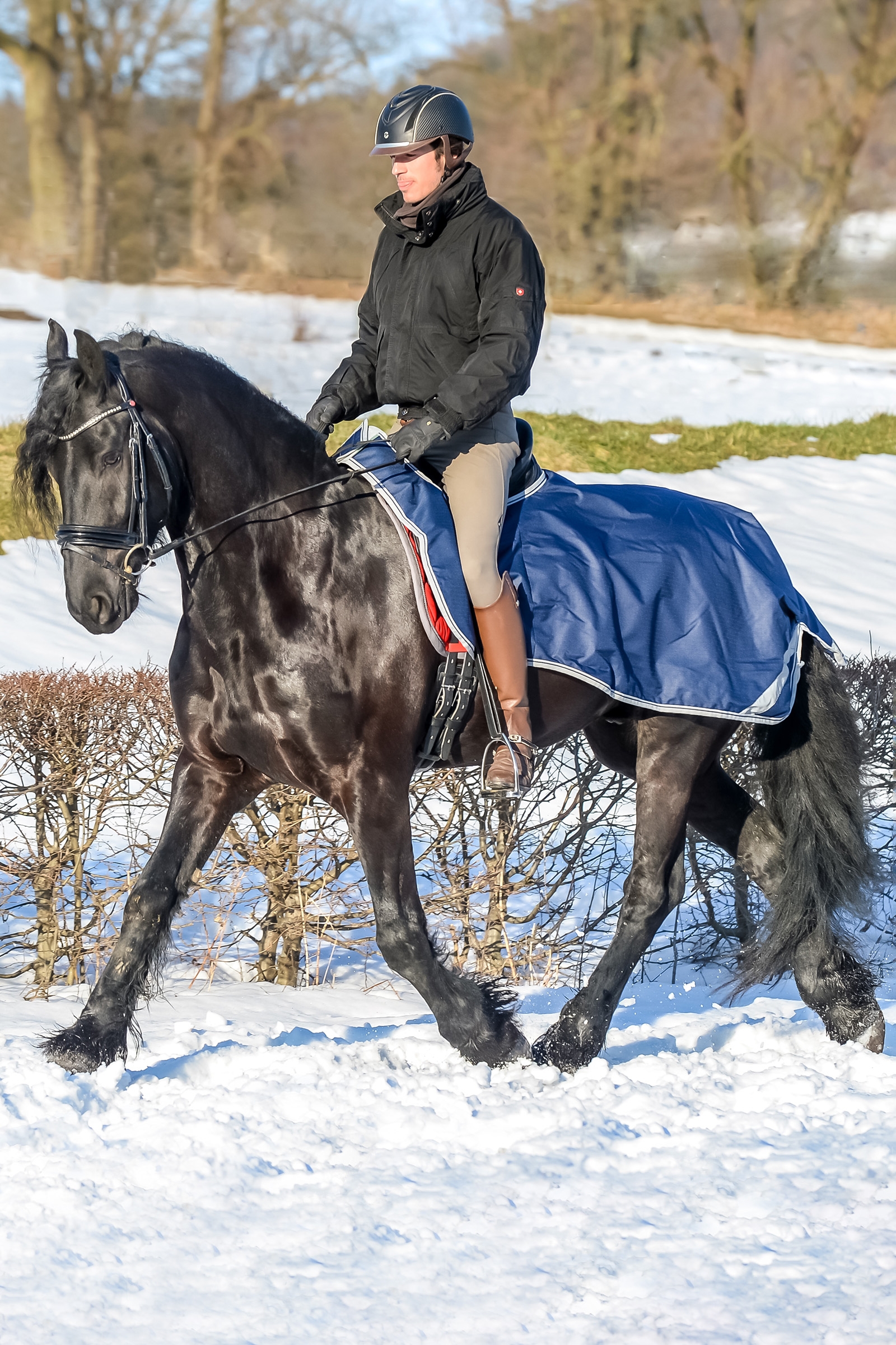 Bucas Coperta da equitazione, 0g