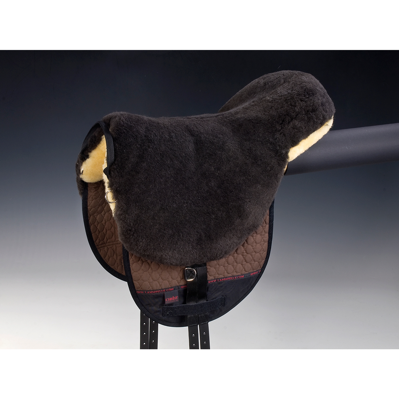 Cristo Bareback in sella a Basic Plus, SH