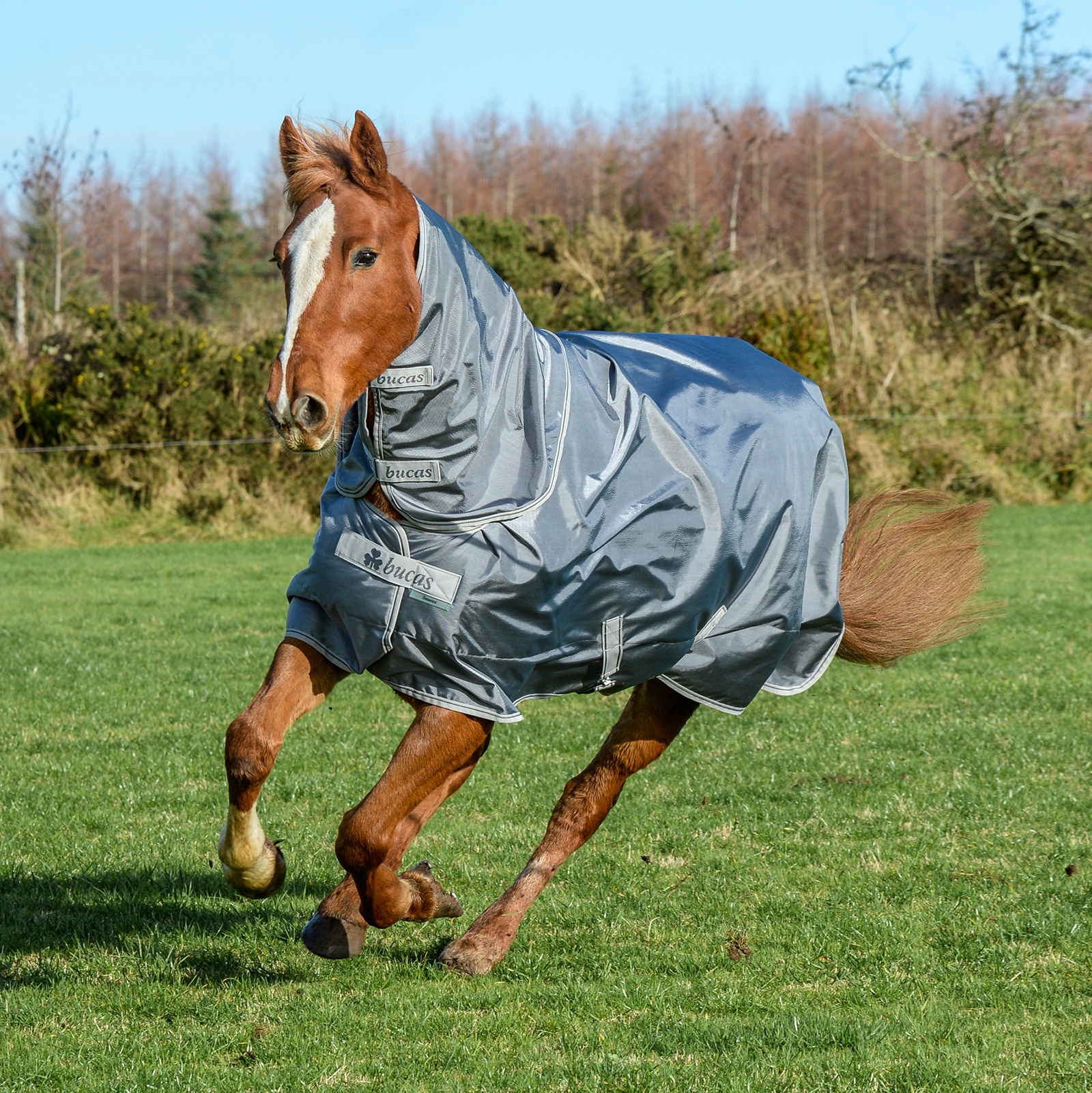 Bucas Smartex Protezione combo per collo 300